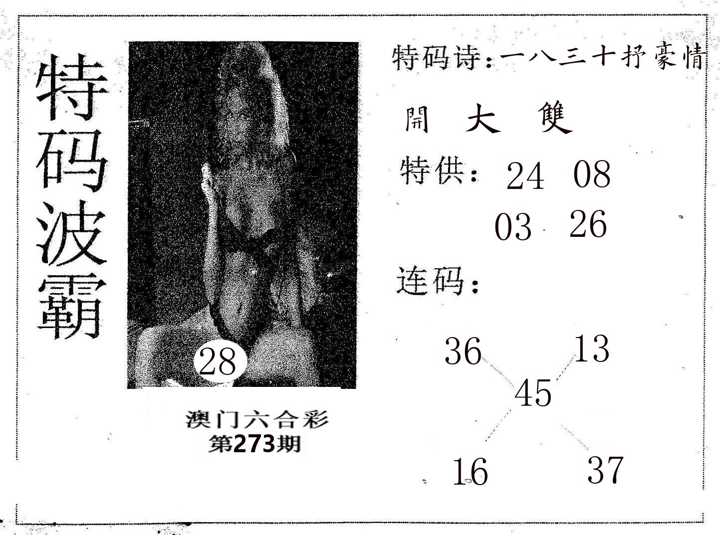 特码波霸 第273期