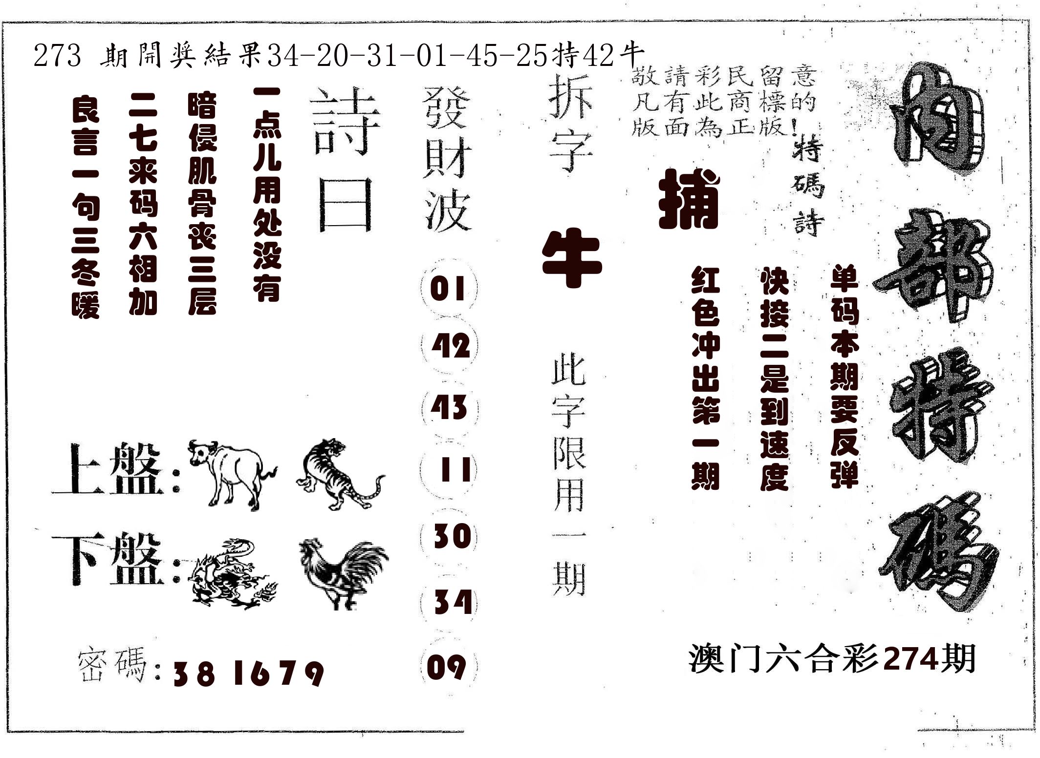 内部特码 第274期