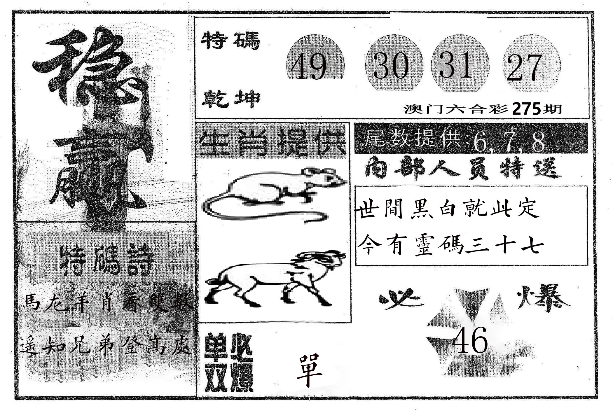 稳赢 第275期