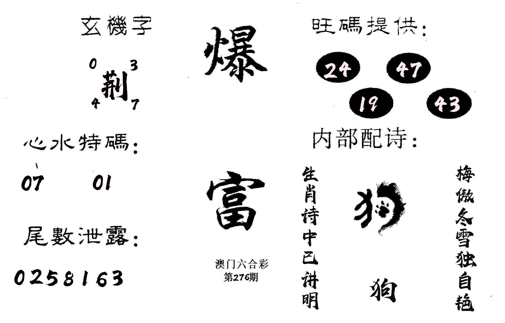 爆富 第276期