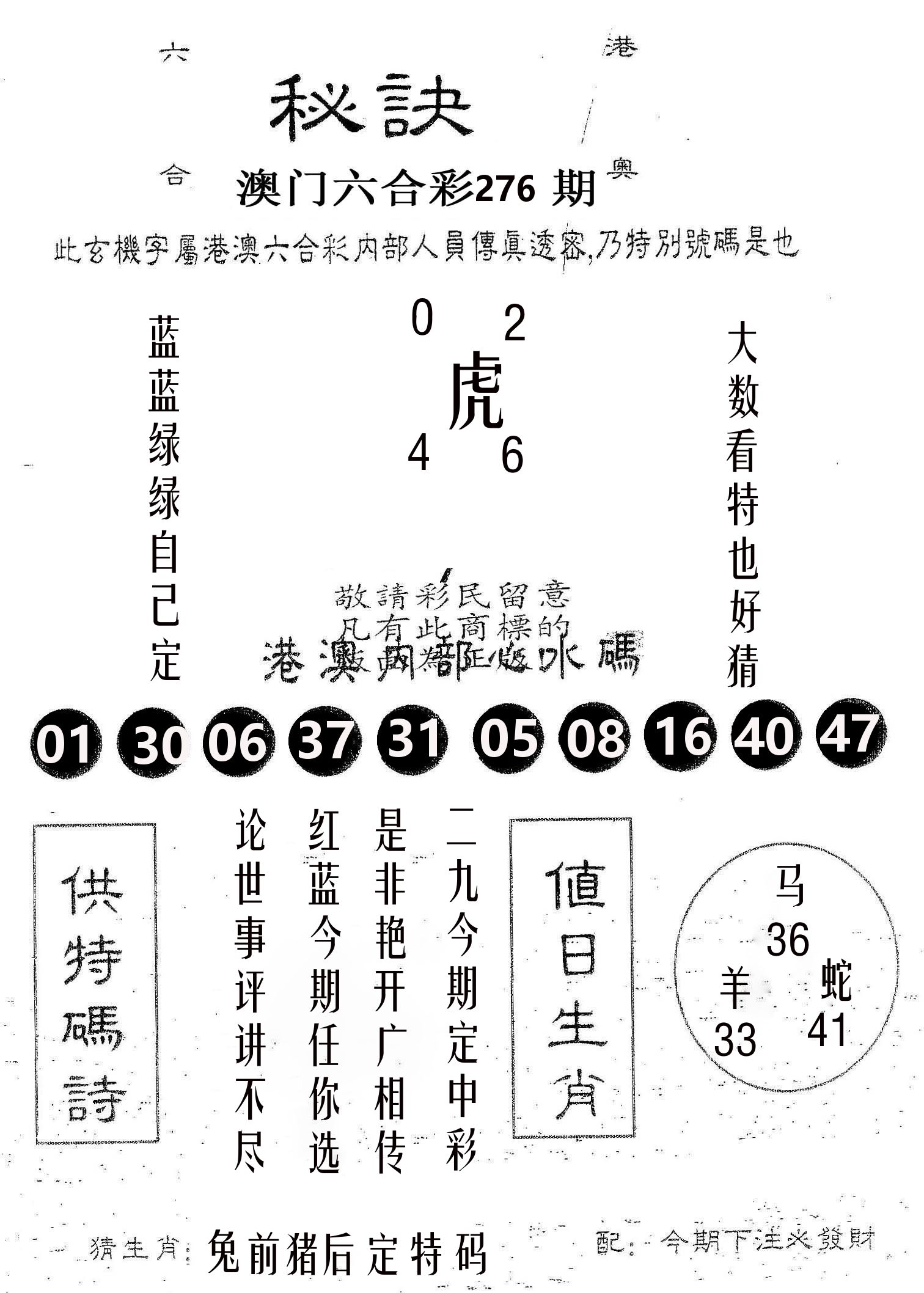 秘决 第276期