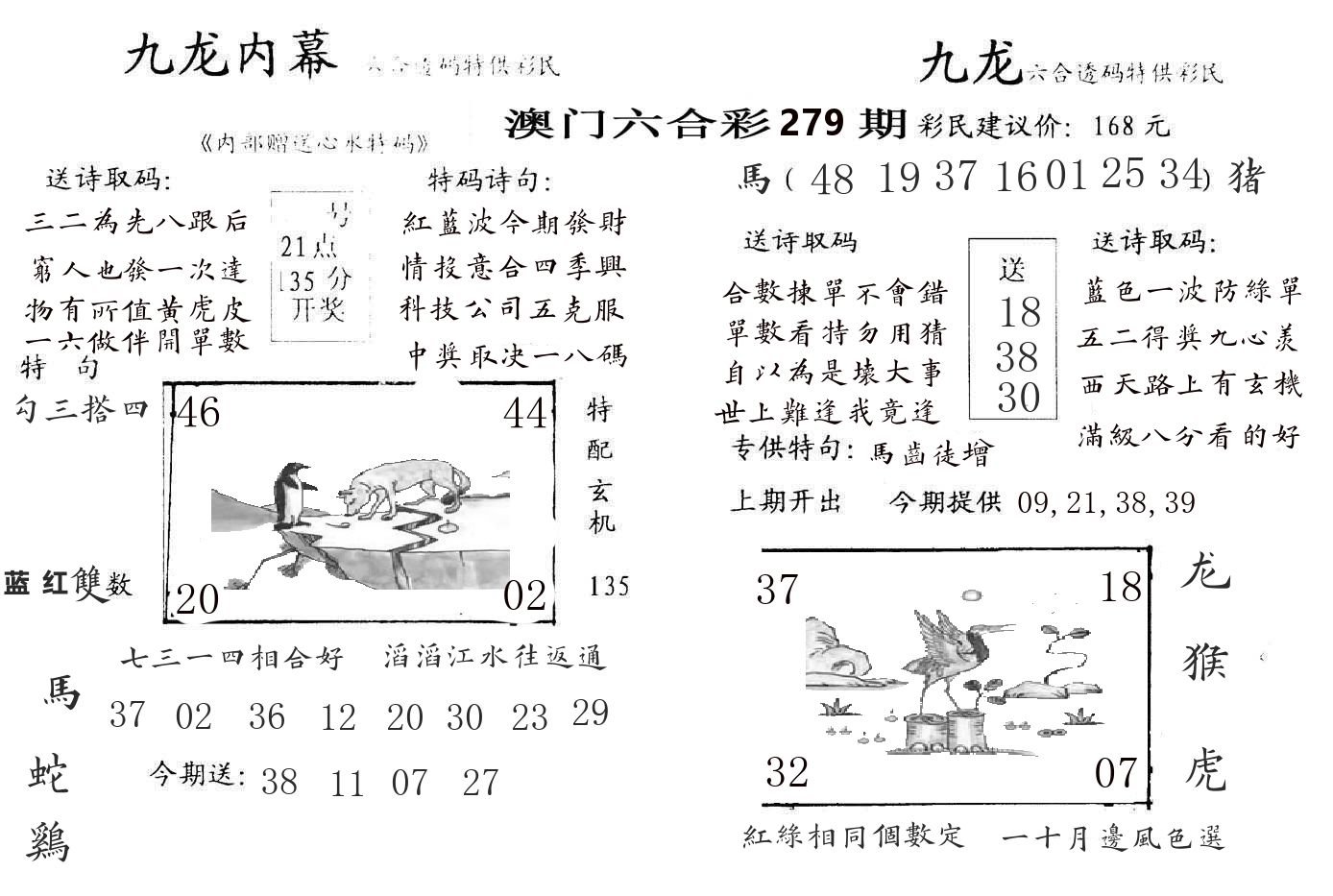 九龙内幕 第279期