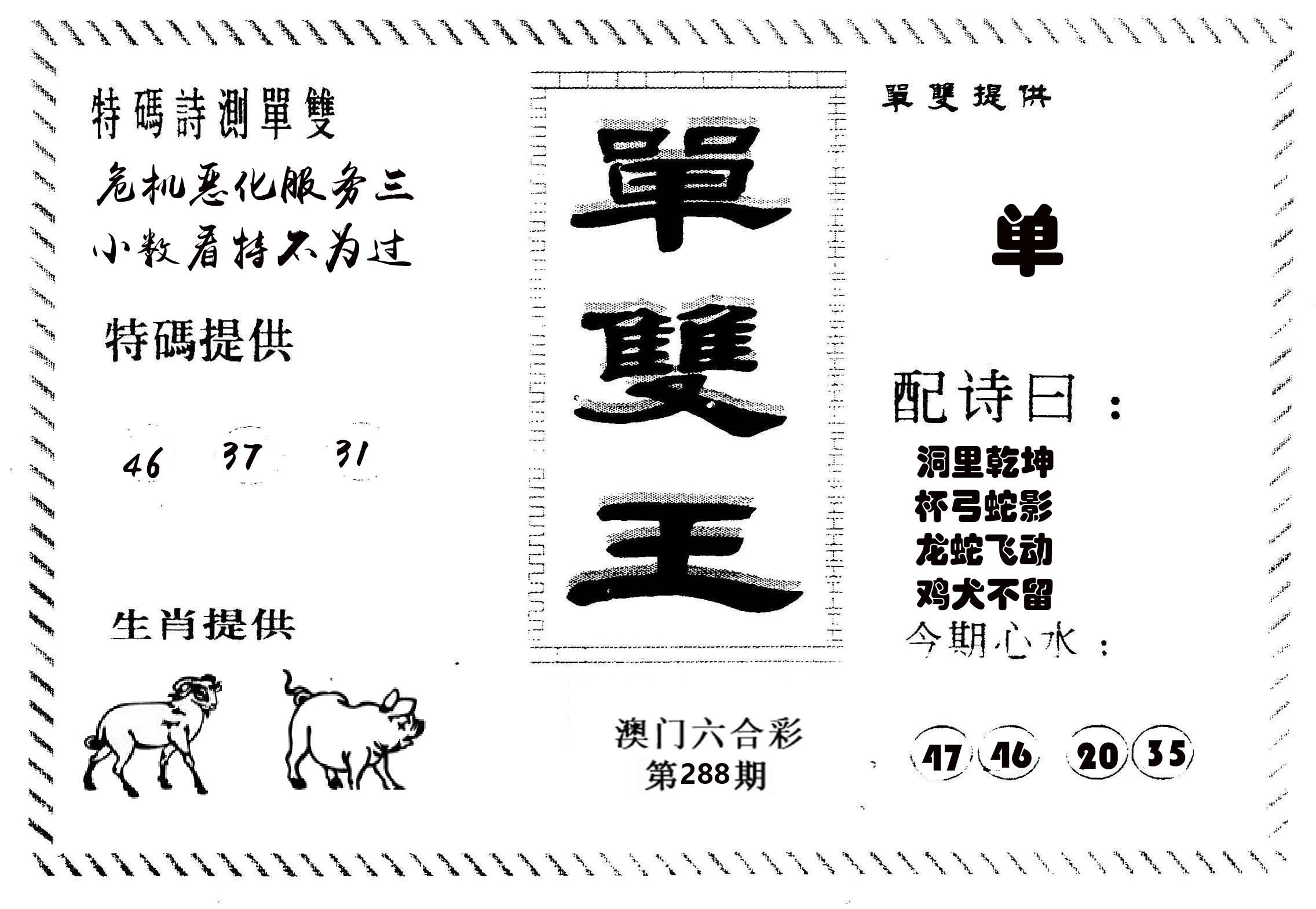 单双王B 第288期