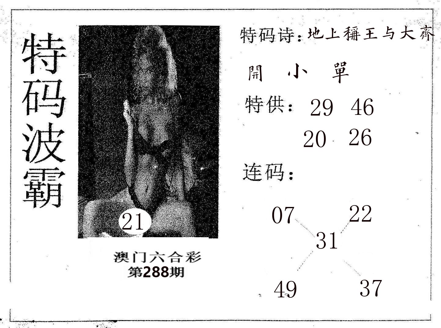 特码波霸 第288期