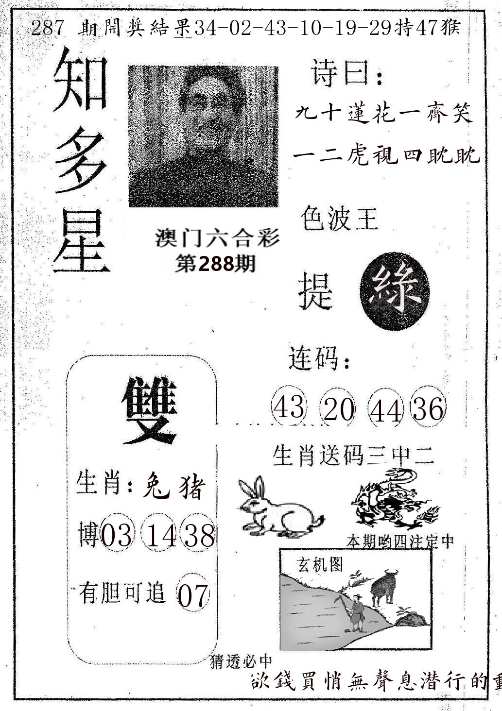 知多星 第288期