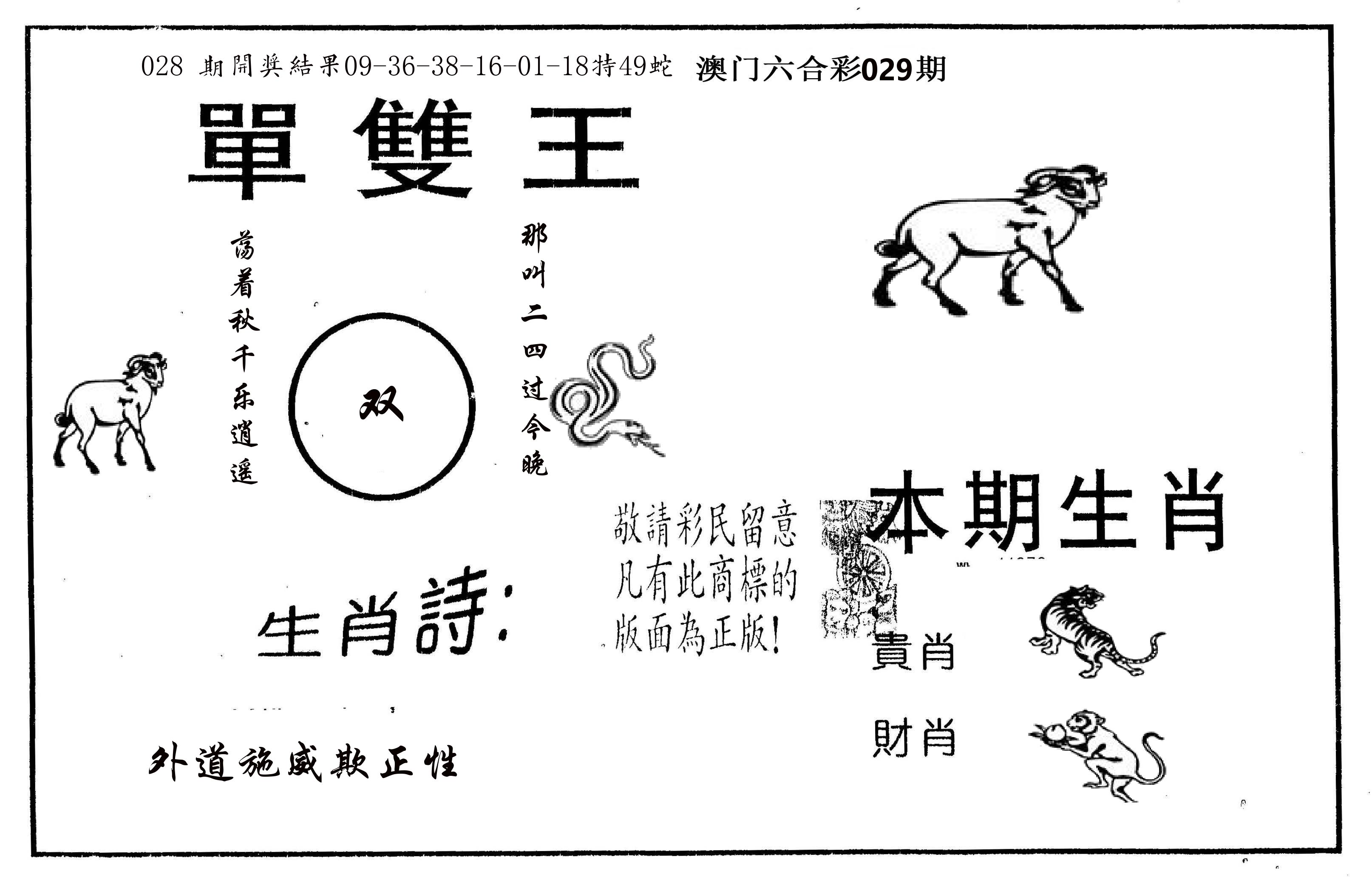 单双王A 第29期