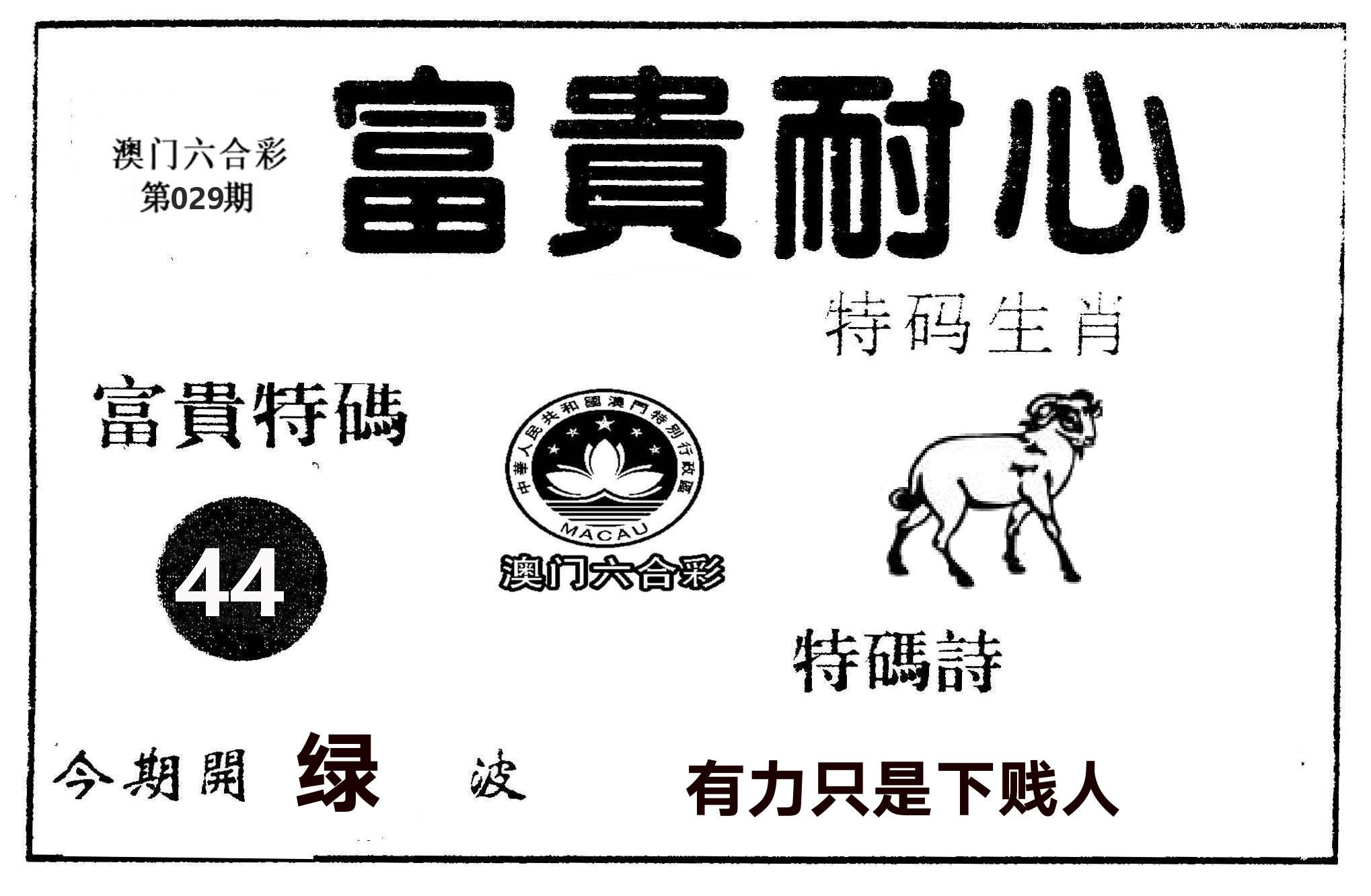 富贵耐心 第29期