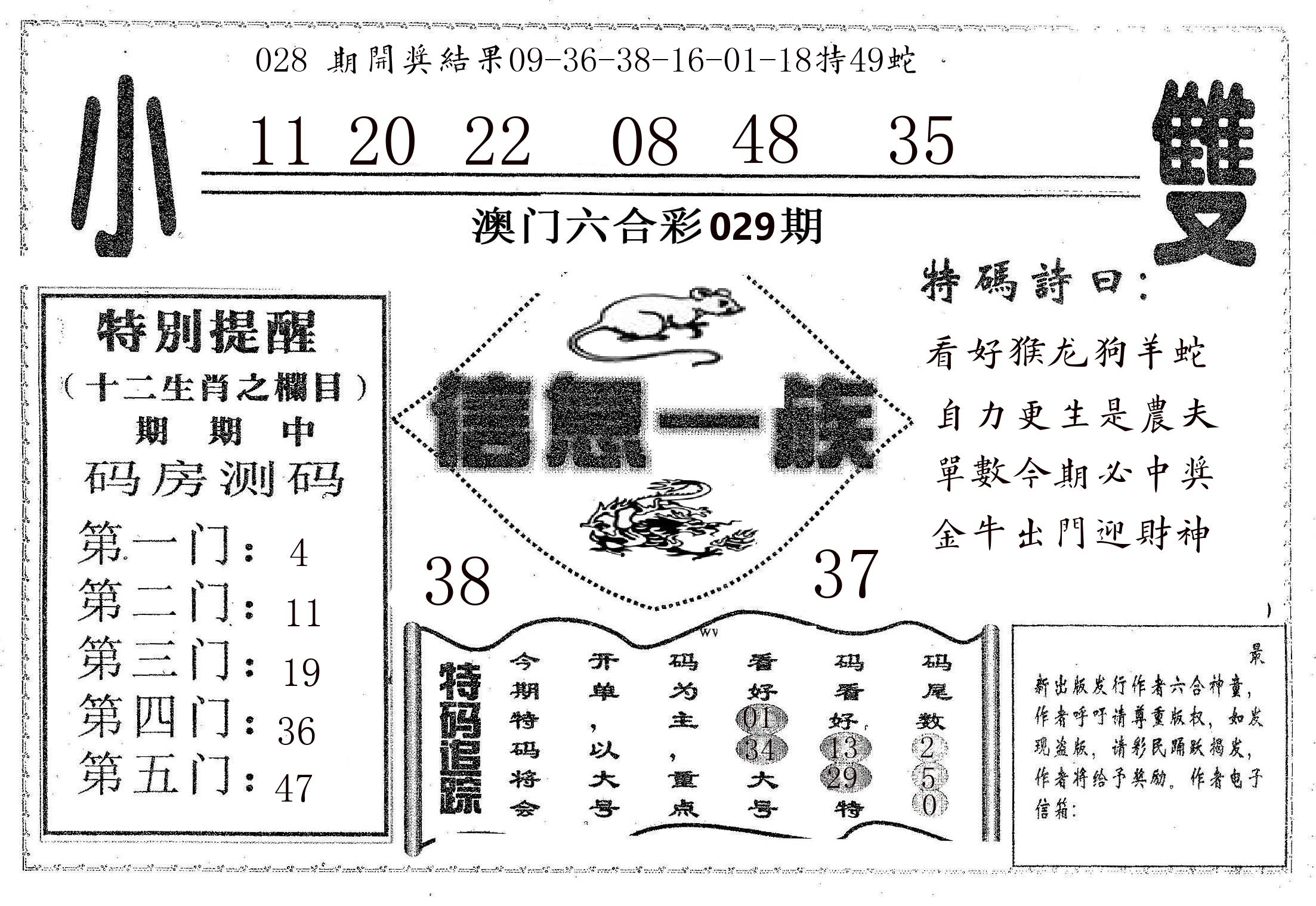 信息一族 第29期
