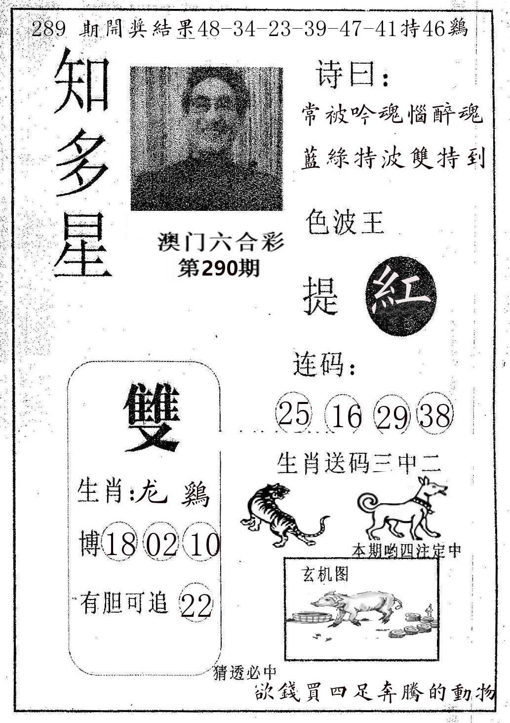 知多星 第290期
