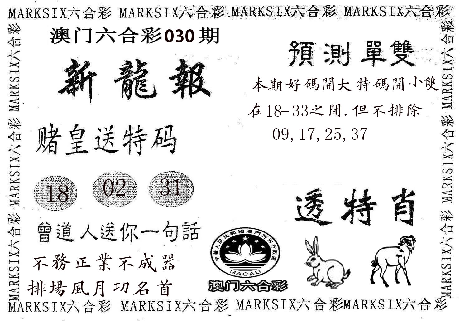 新龙报 第30期