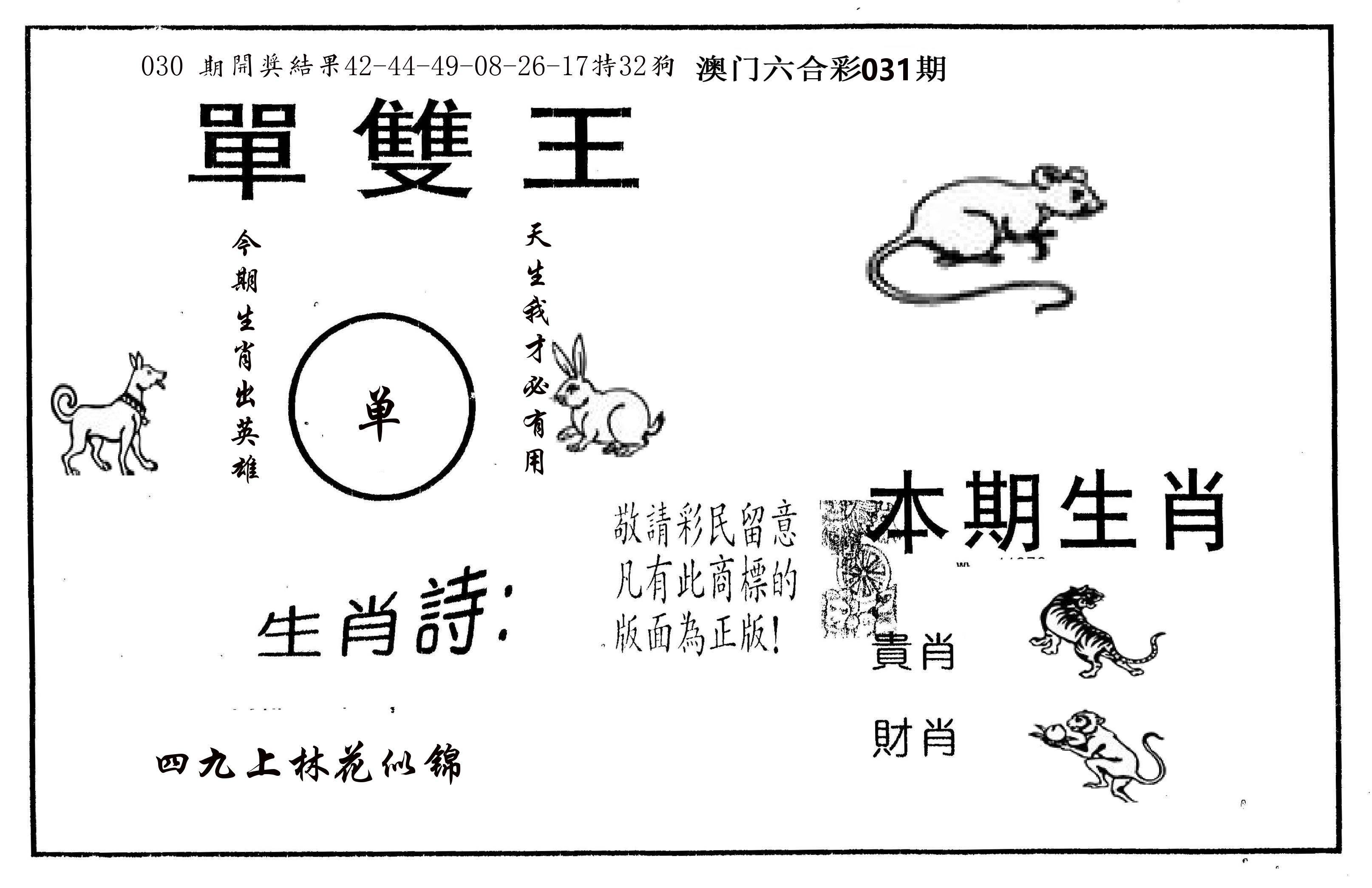 单双王A 第31期