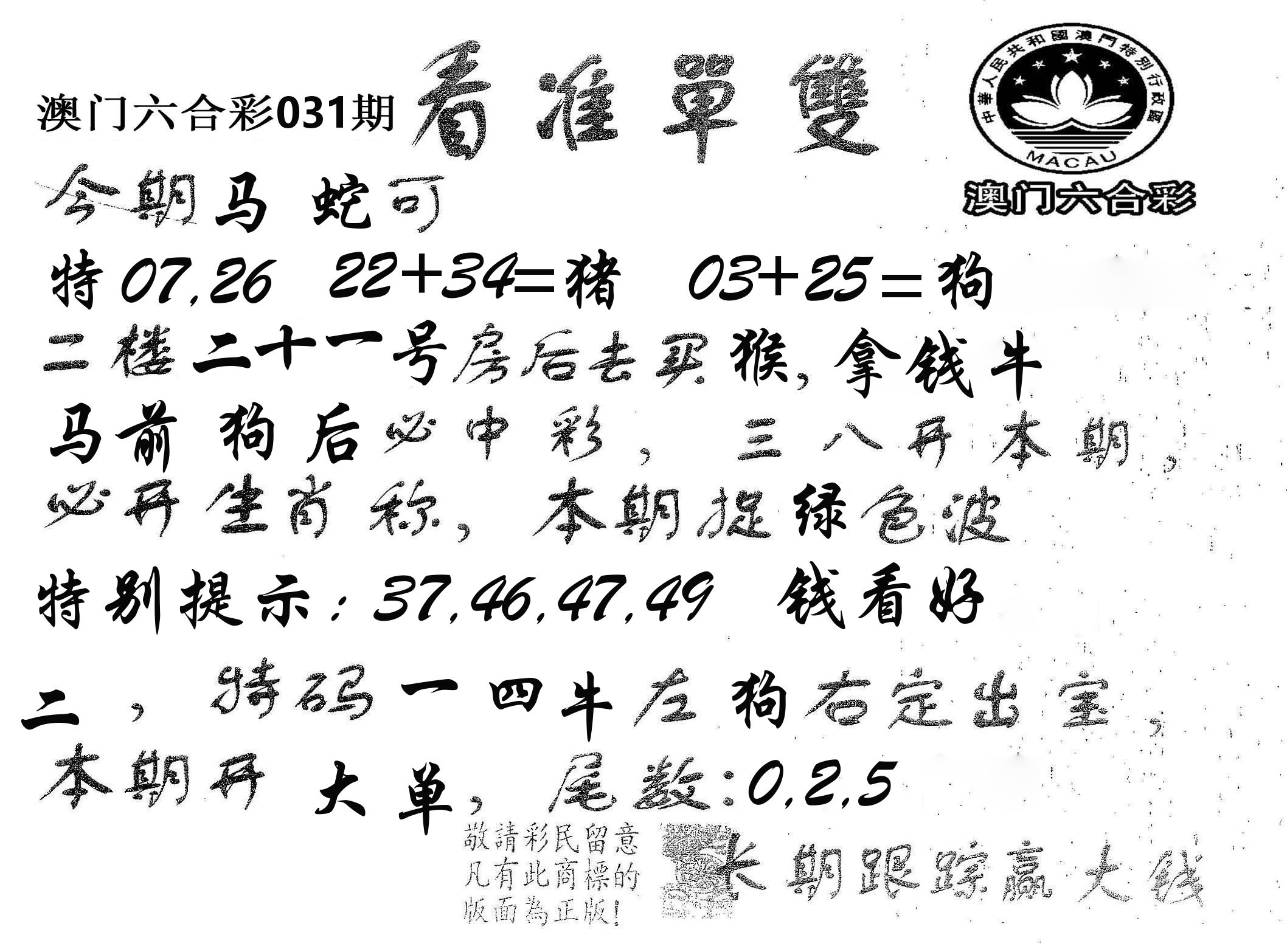 看准单双 第31期