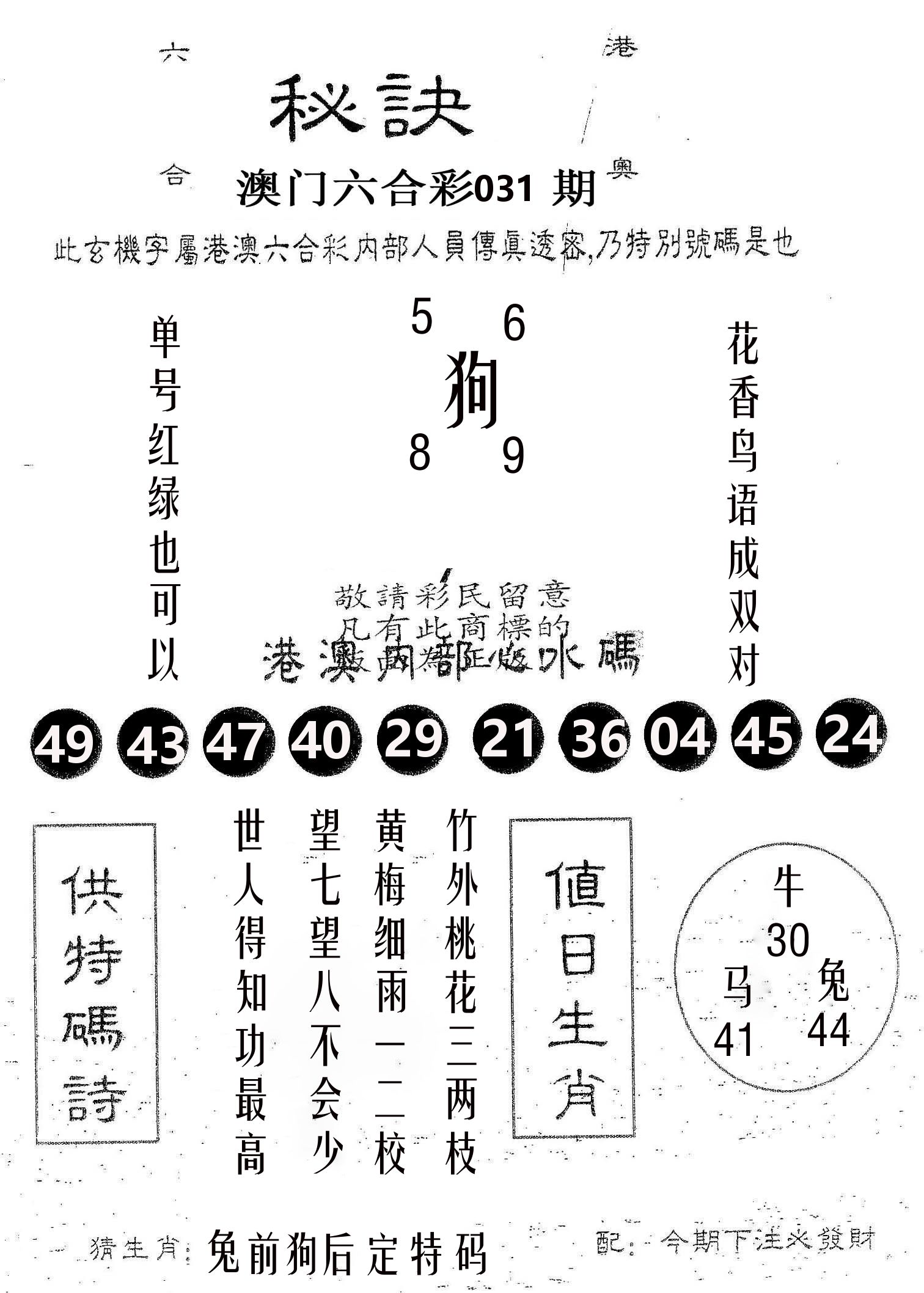 秘决 第31期