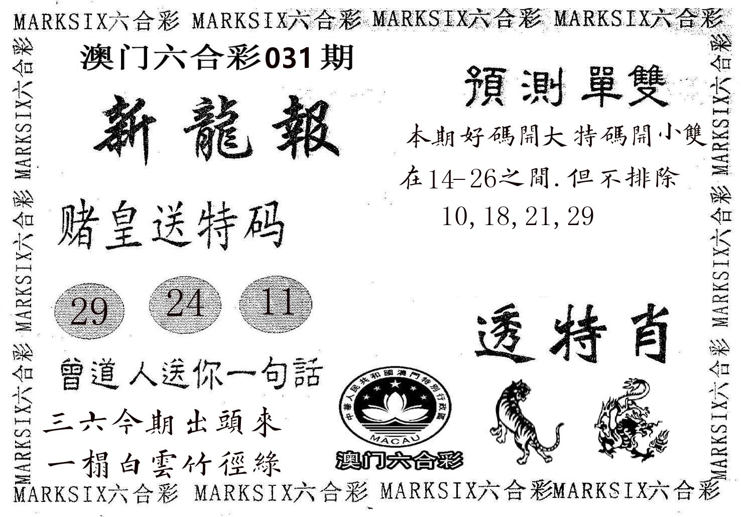 新龙报 第31期