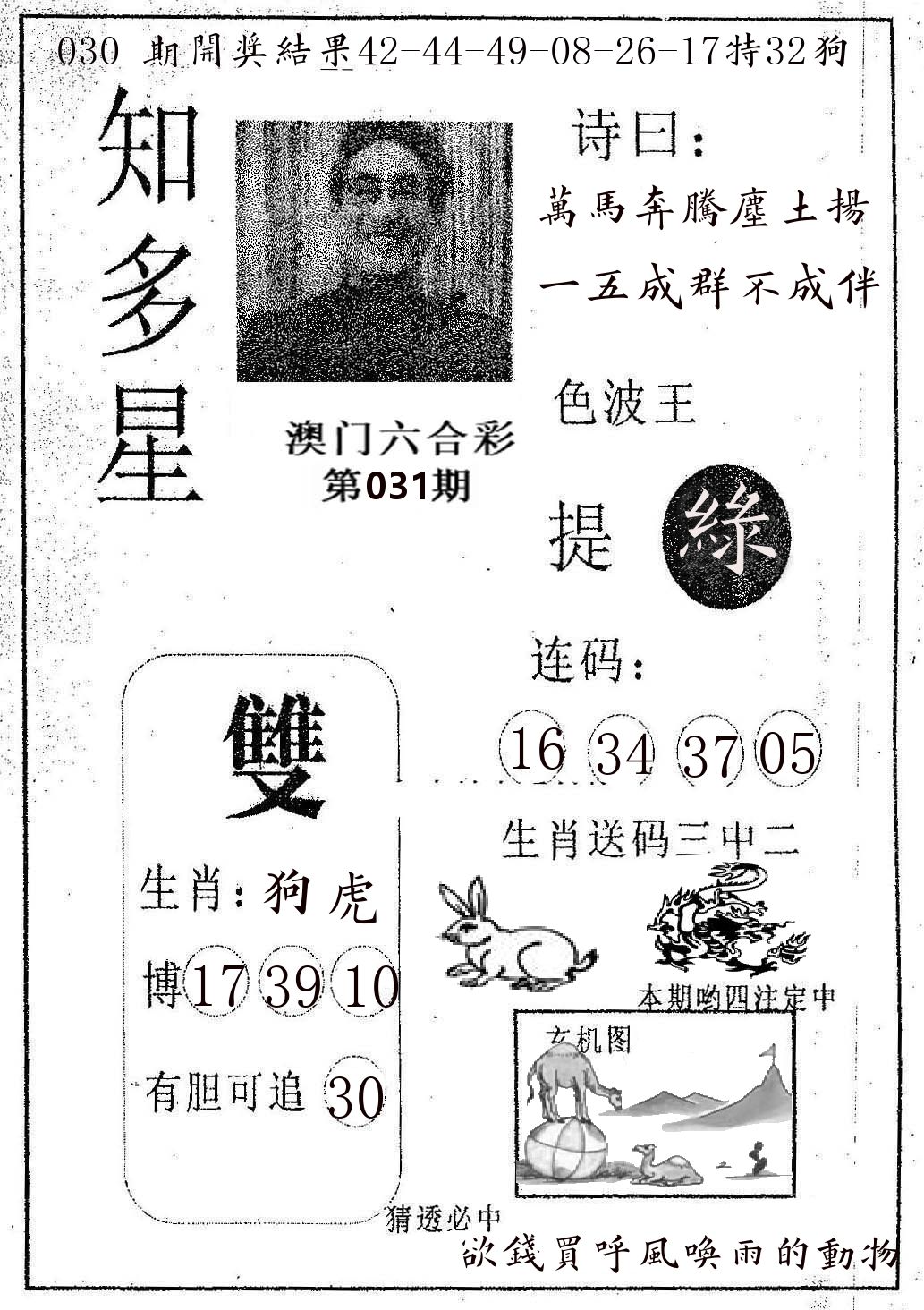 知多星 第31期