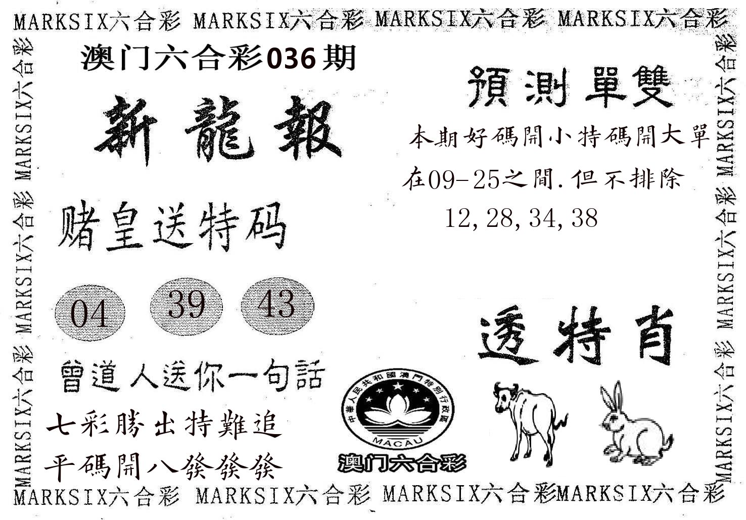 新龙报 第36期
