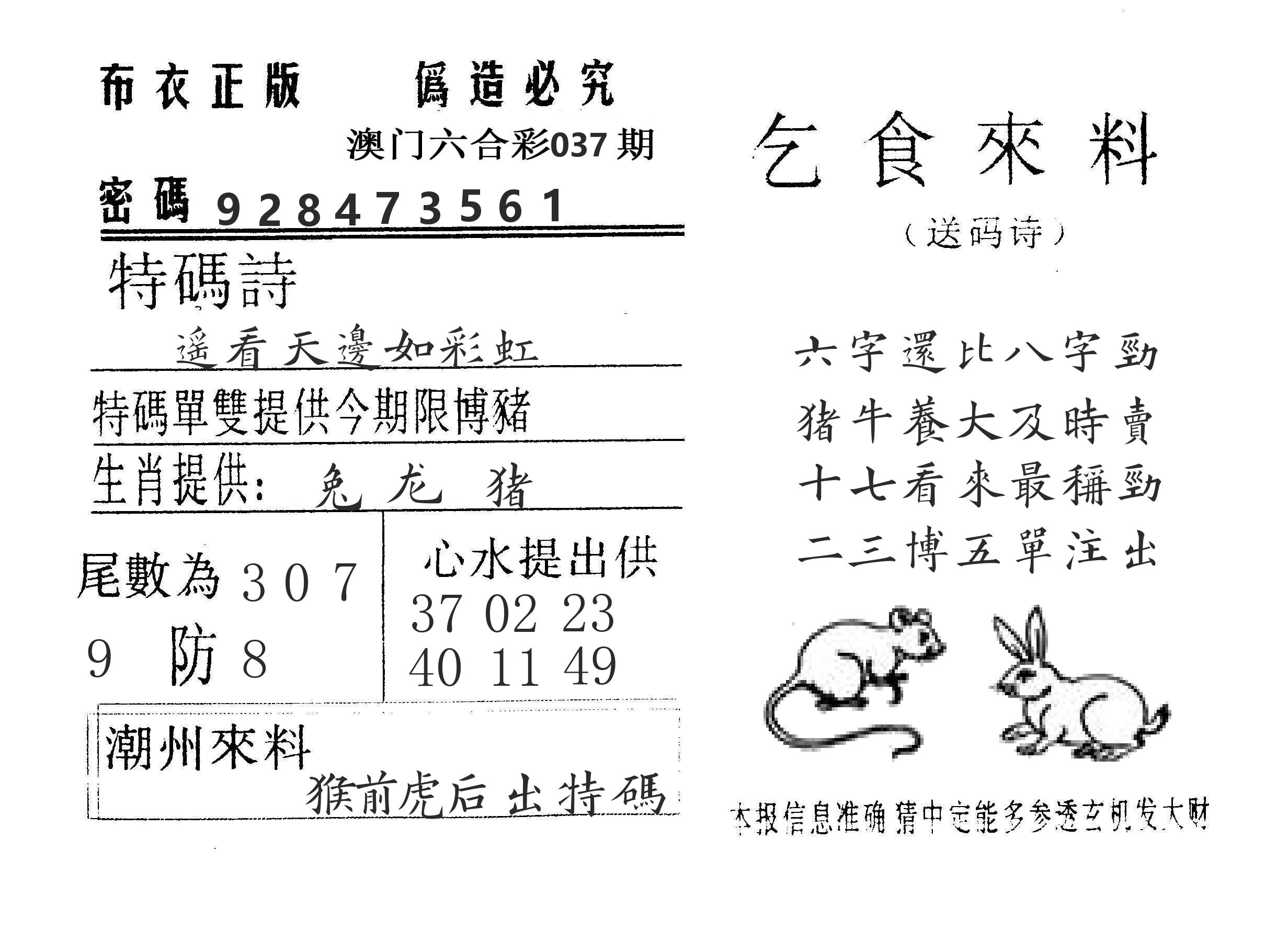 乞食来料 第37期