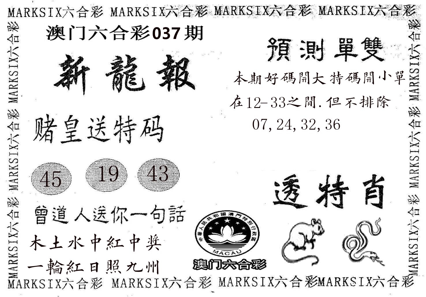 新龙报 第37期