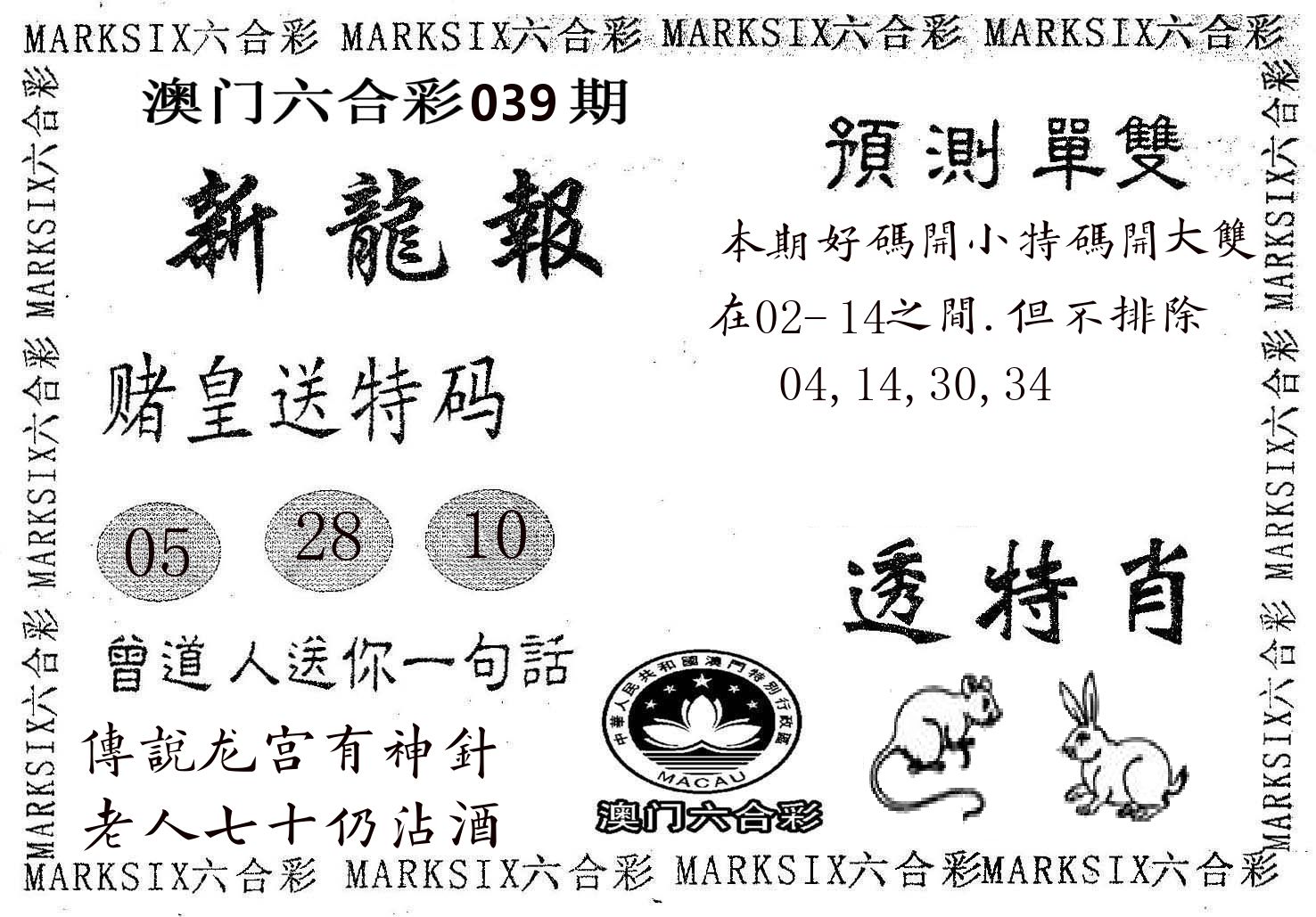 新龙报 第39期