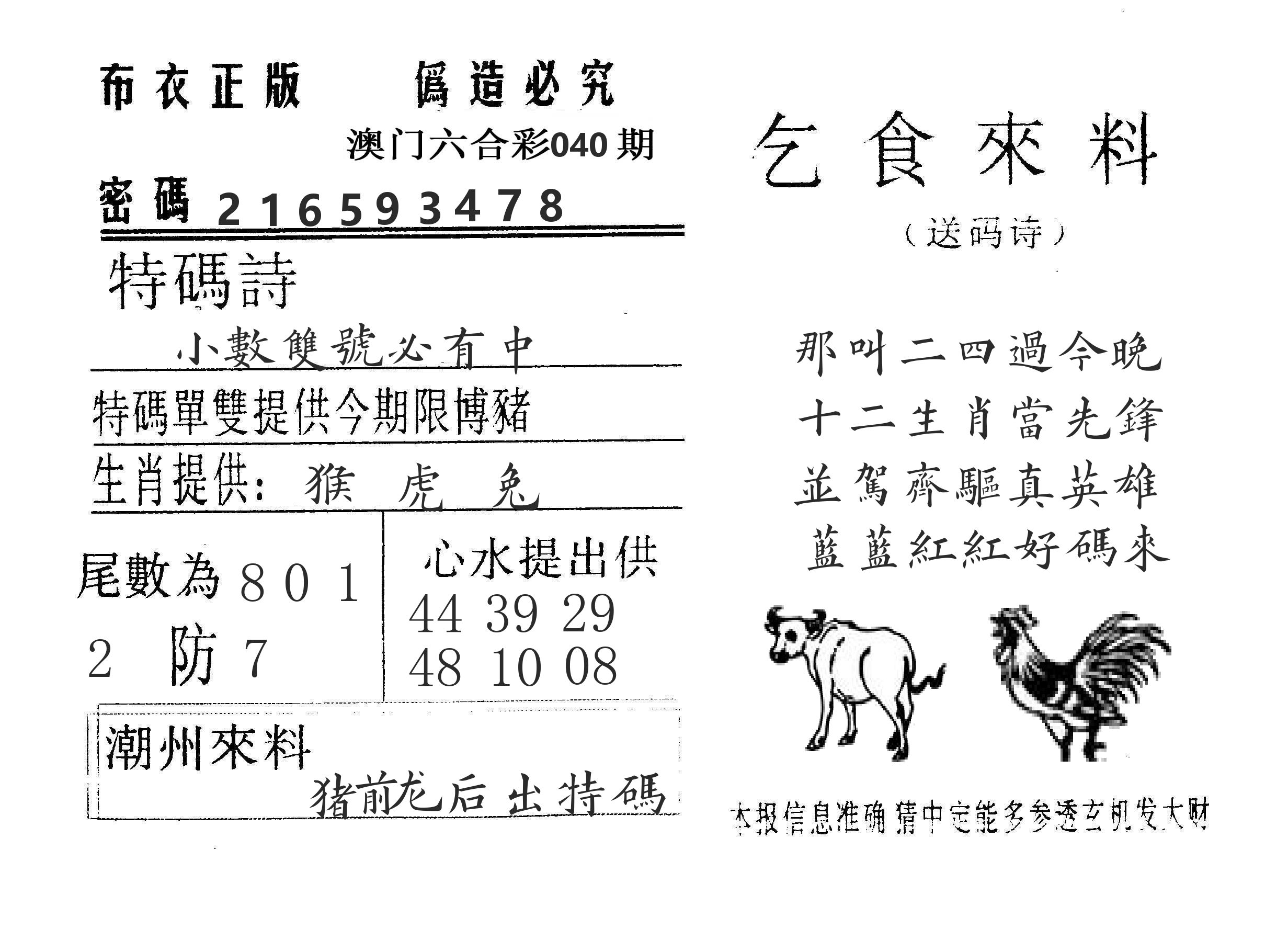 乞食来料 第40期