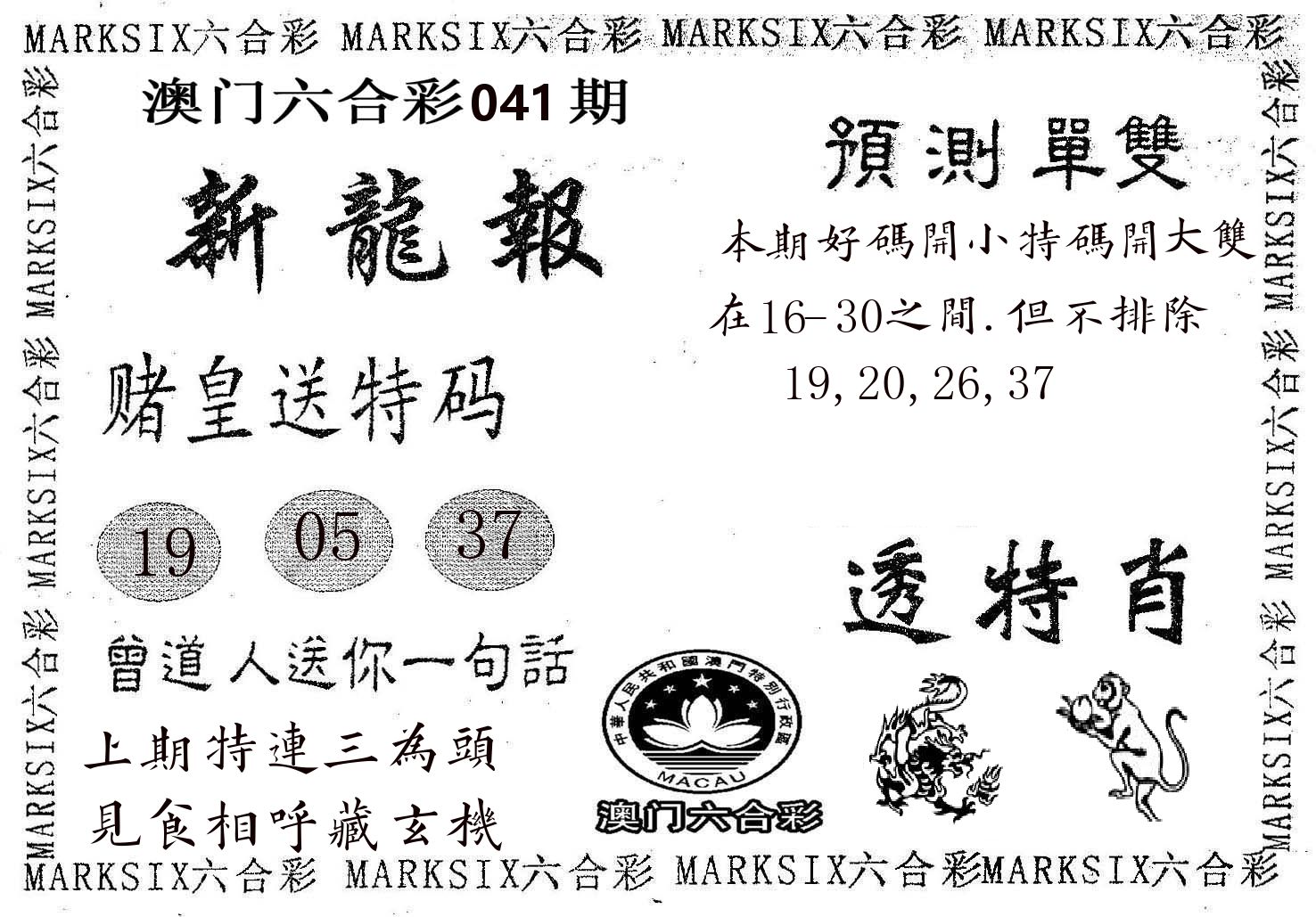 新龙报 第41期