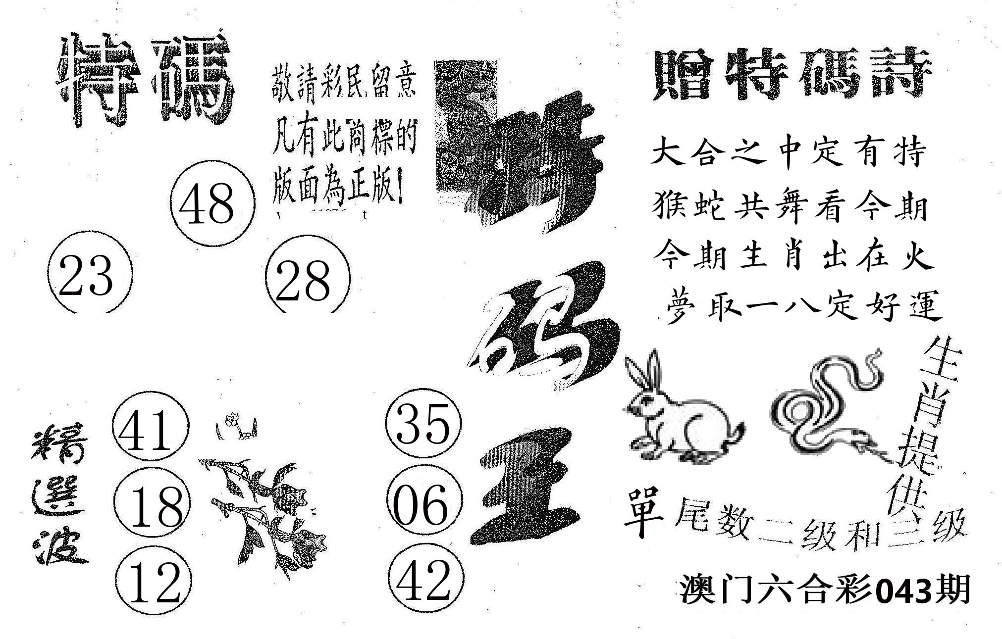 特码王A 第43期