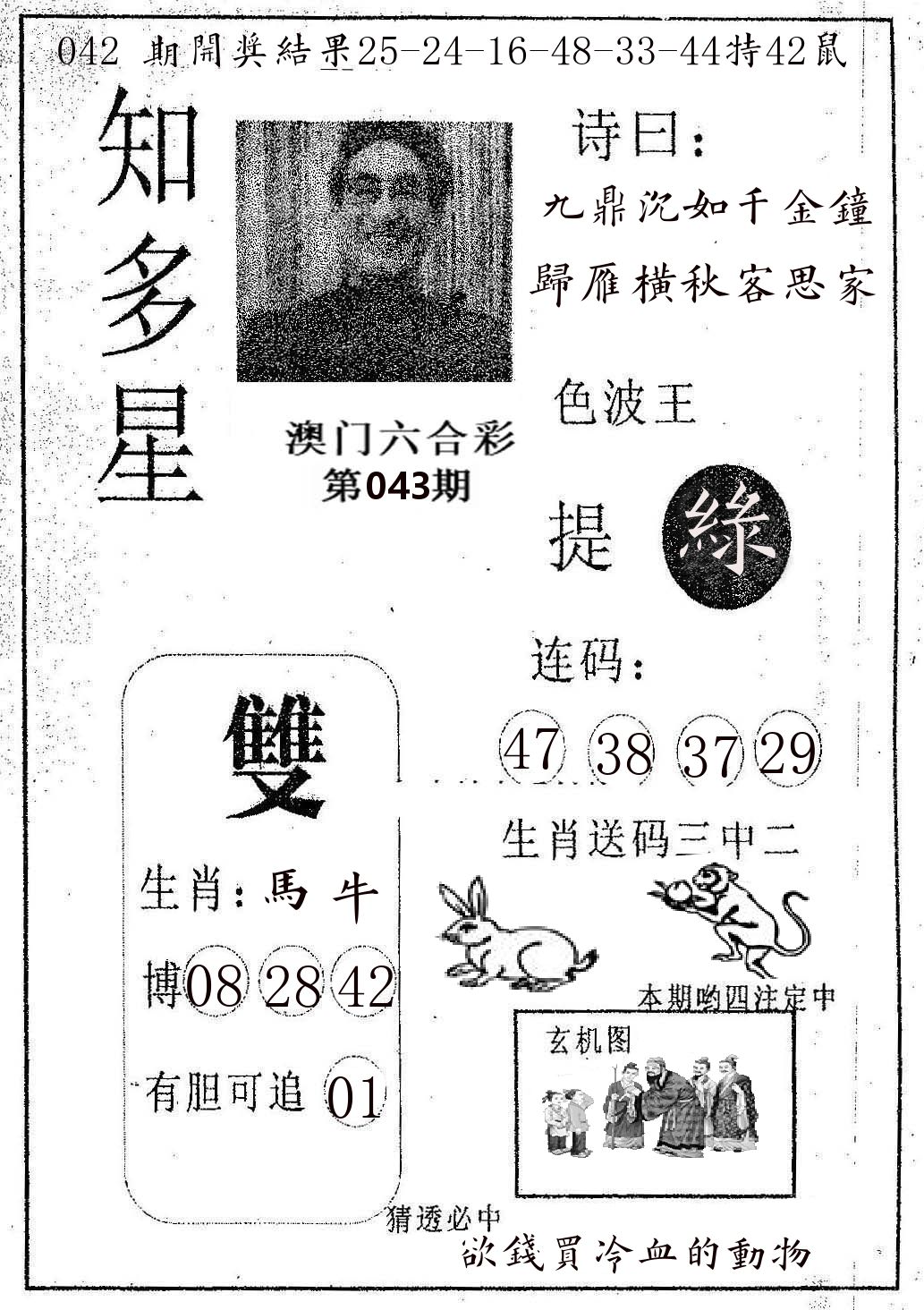 知多星 第43期