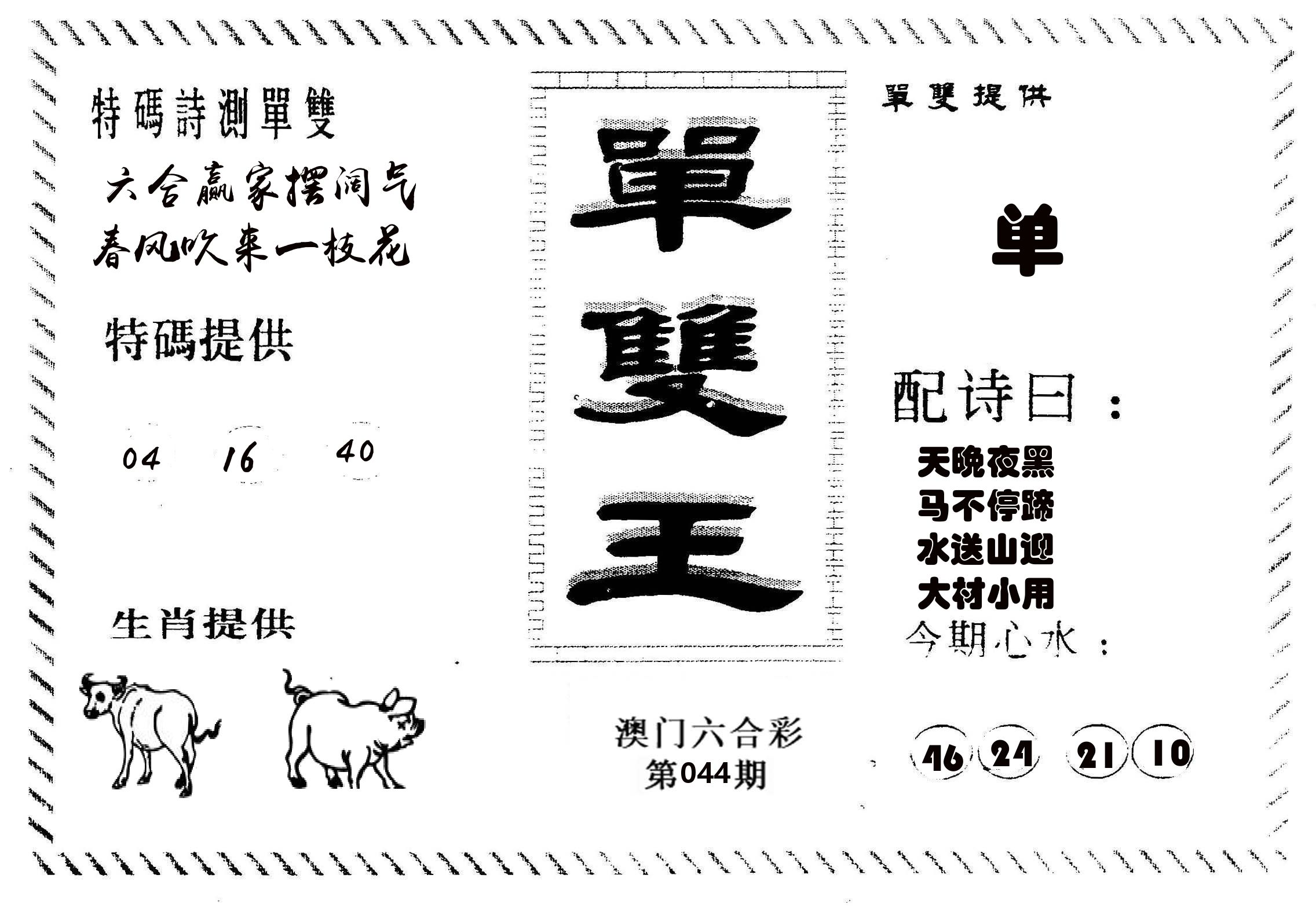 单双王B 第44期