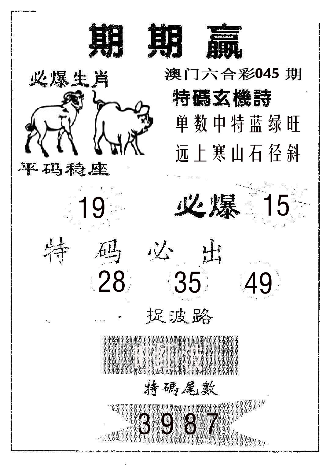 期期赢 第45期