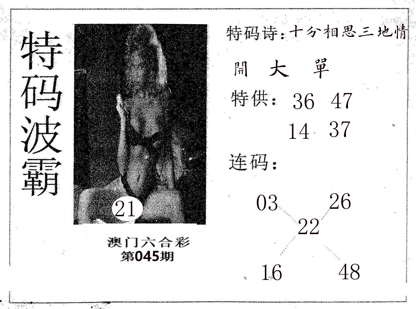 特码波霸 第45期