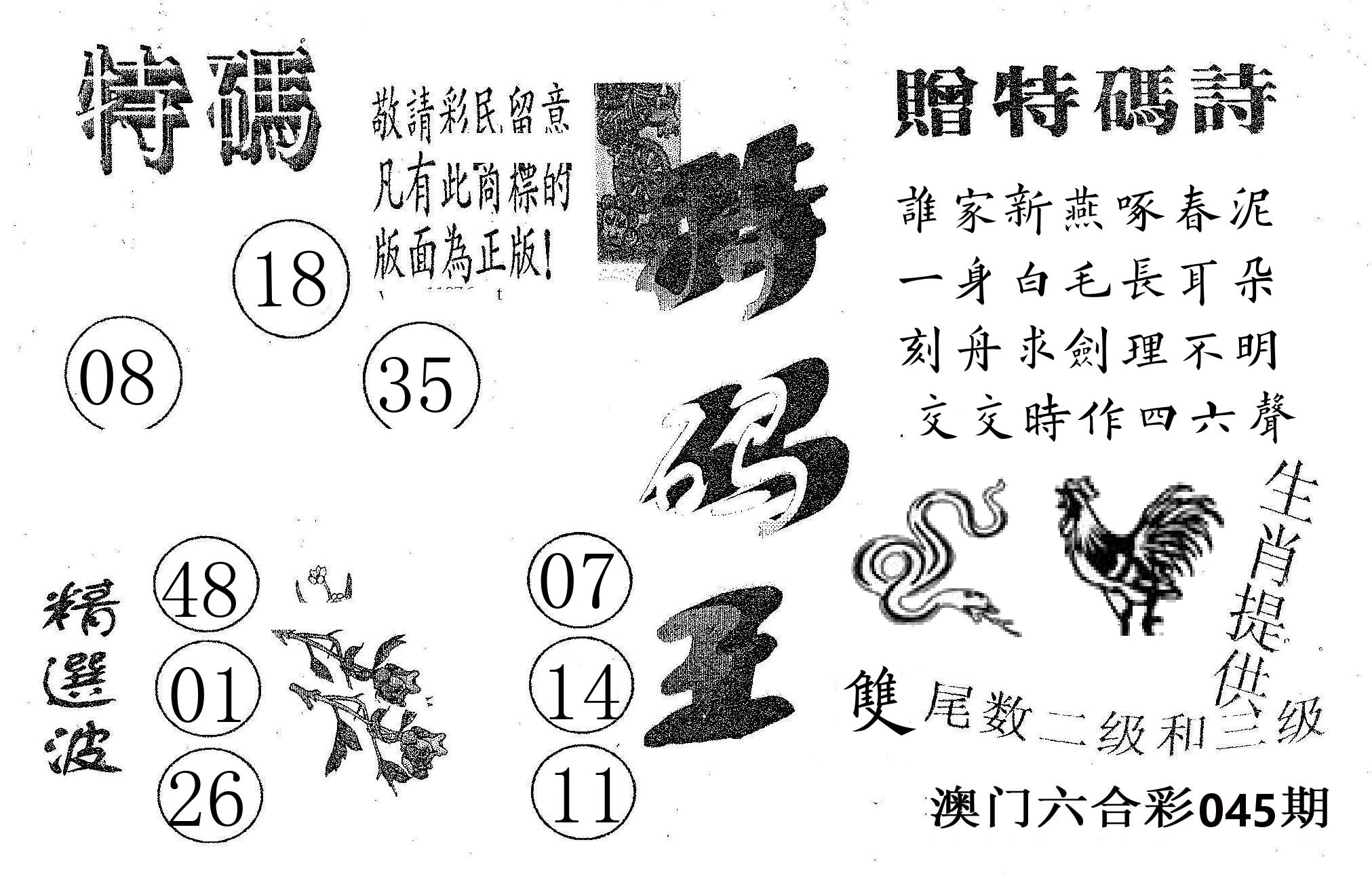 特码王A 第45期