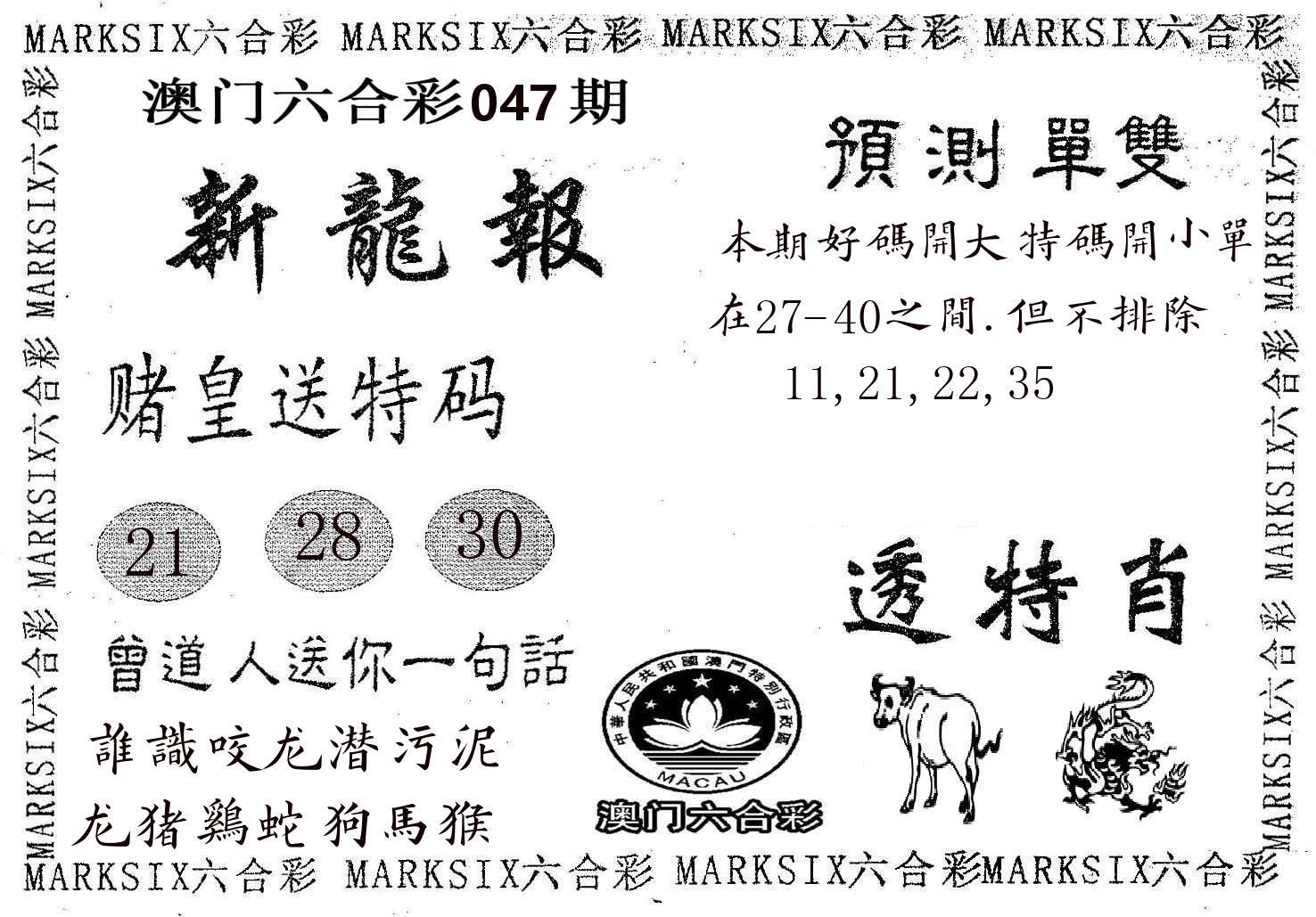 新龙报 第47期