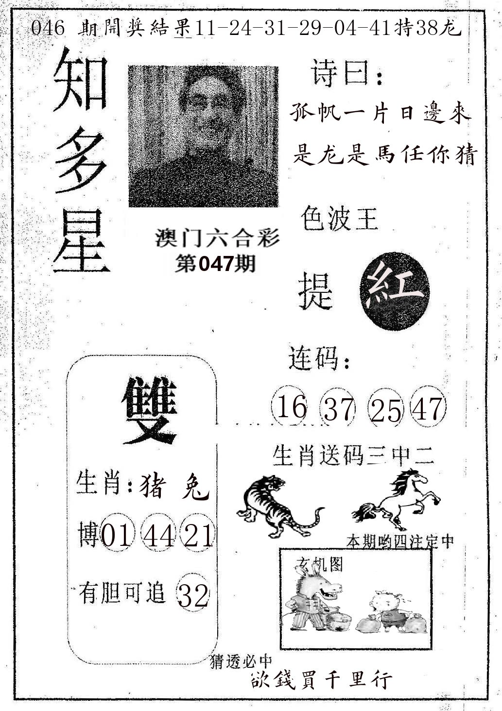 知多星 第47期