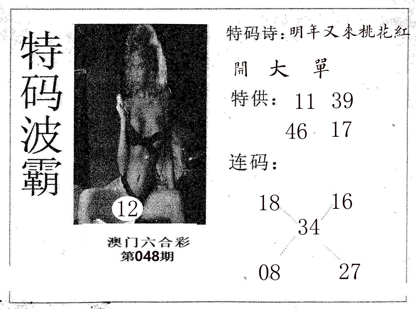 特码波霸 第48期