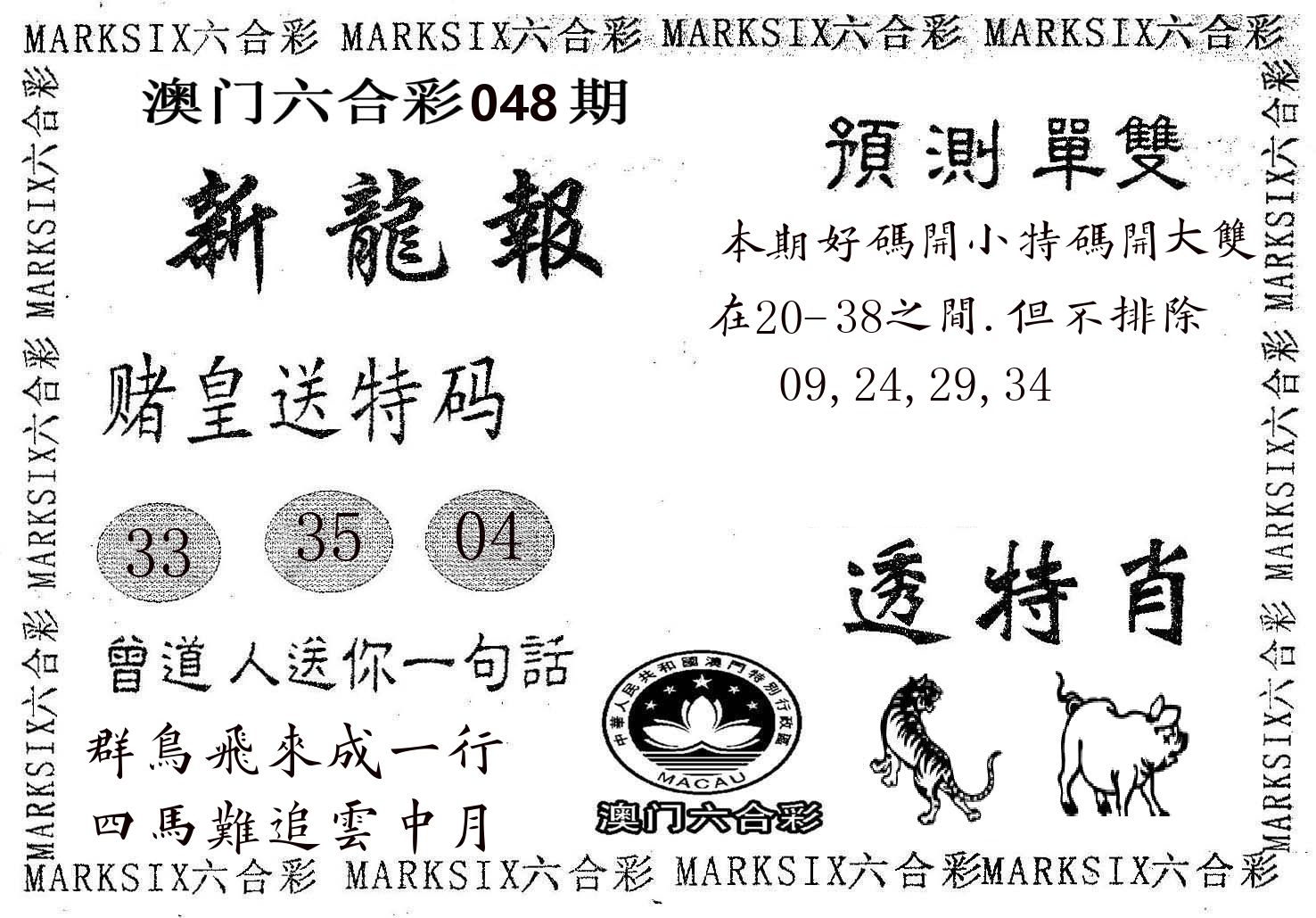 新龙报 第48期