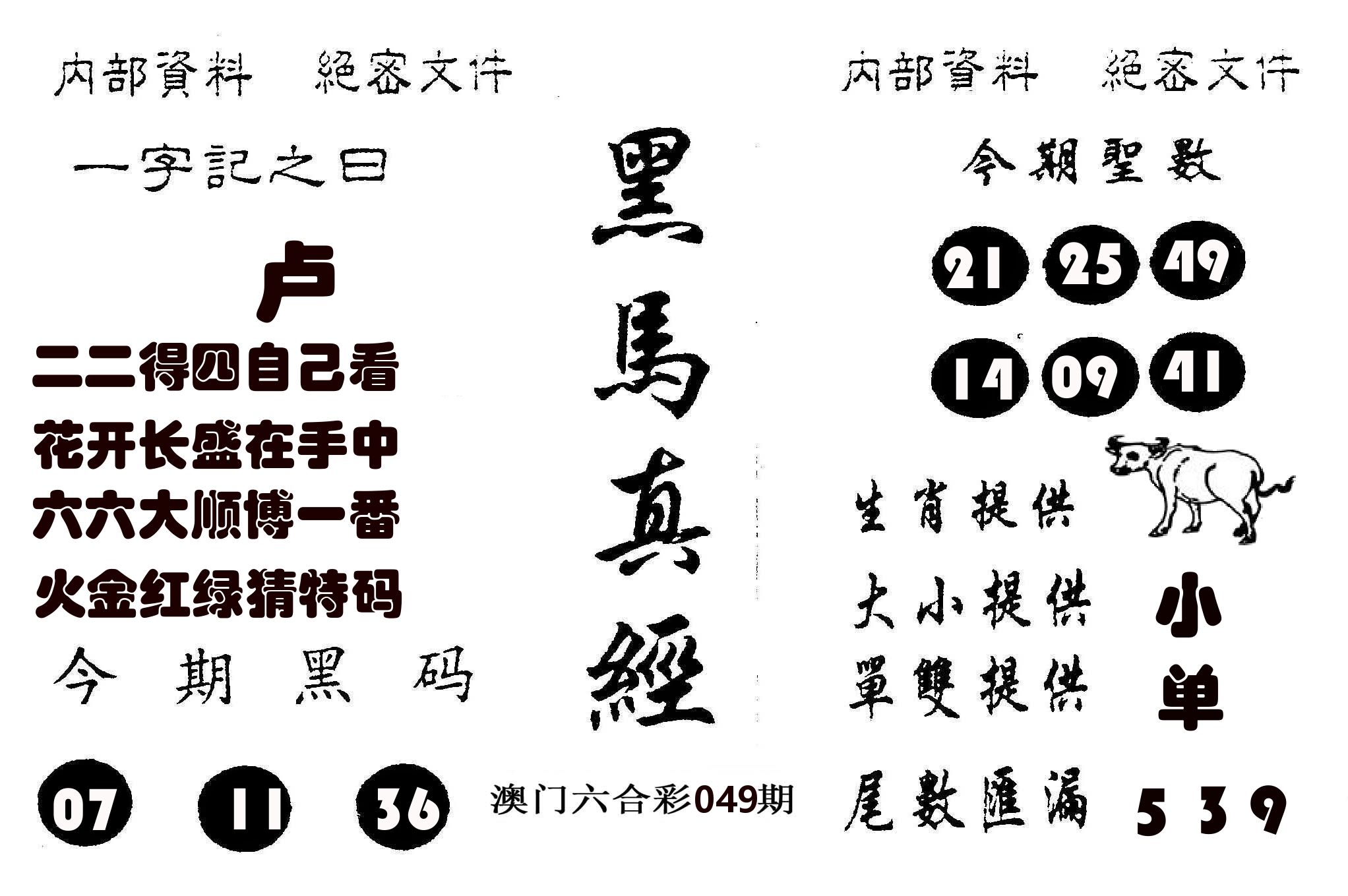 黑马真经 第49期