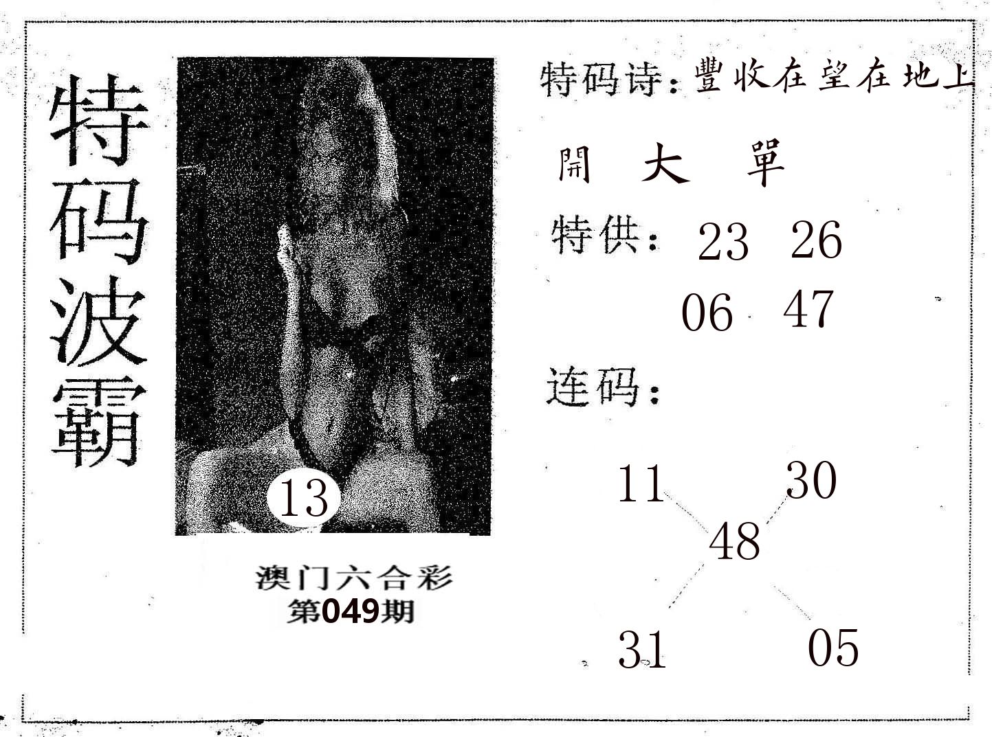 特码波霸 第49期