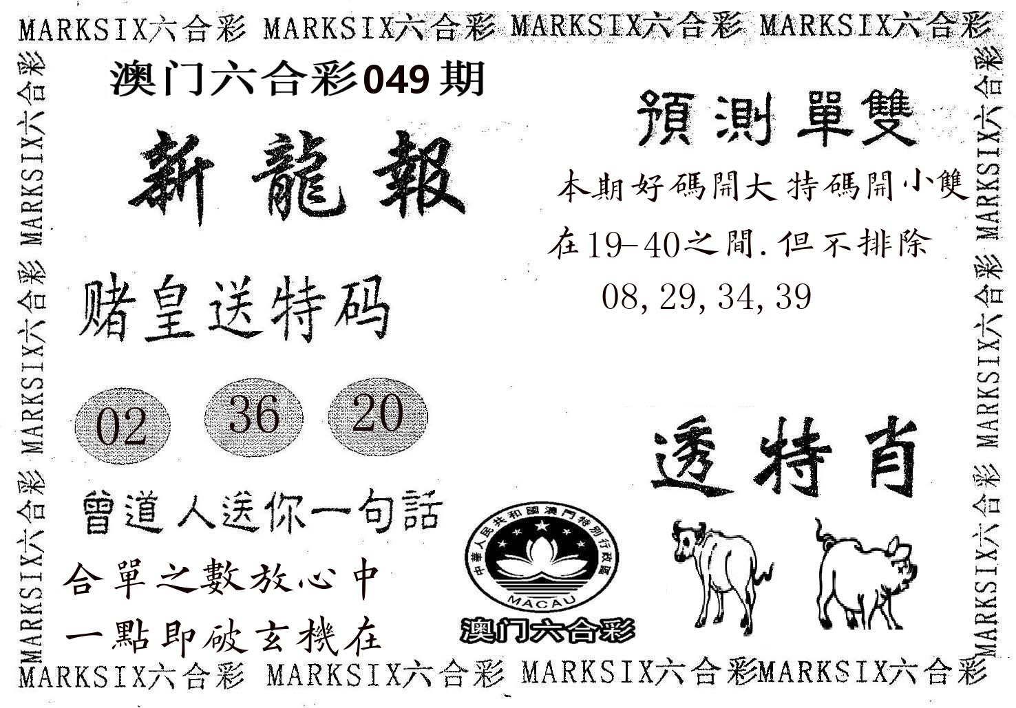 新龙报 第49期