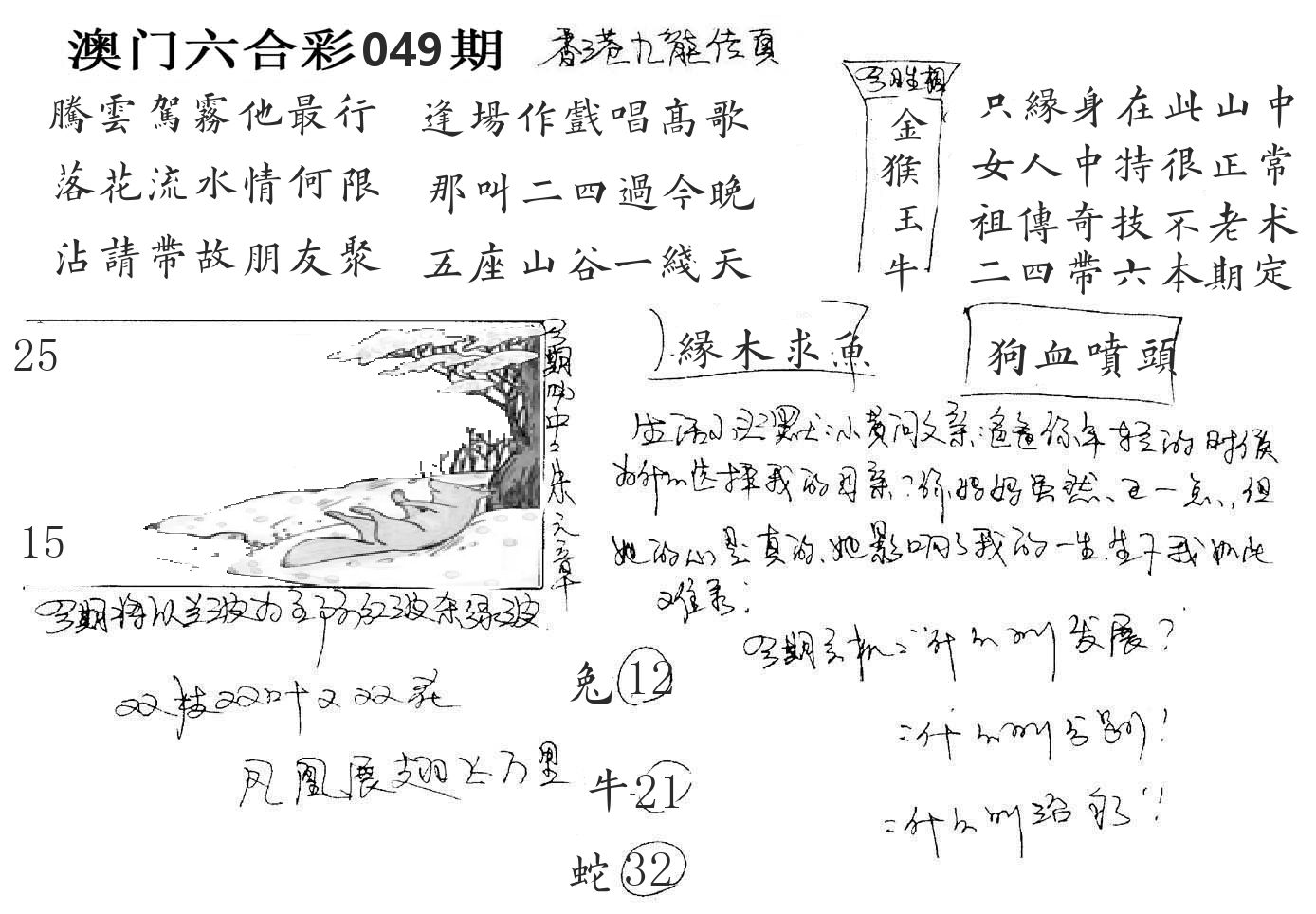 澳门手写九龙 第49期