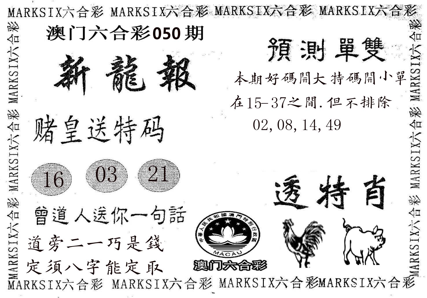 新龙报 第50期