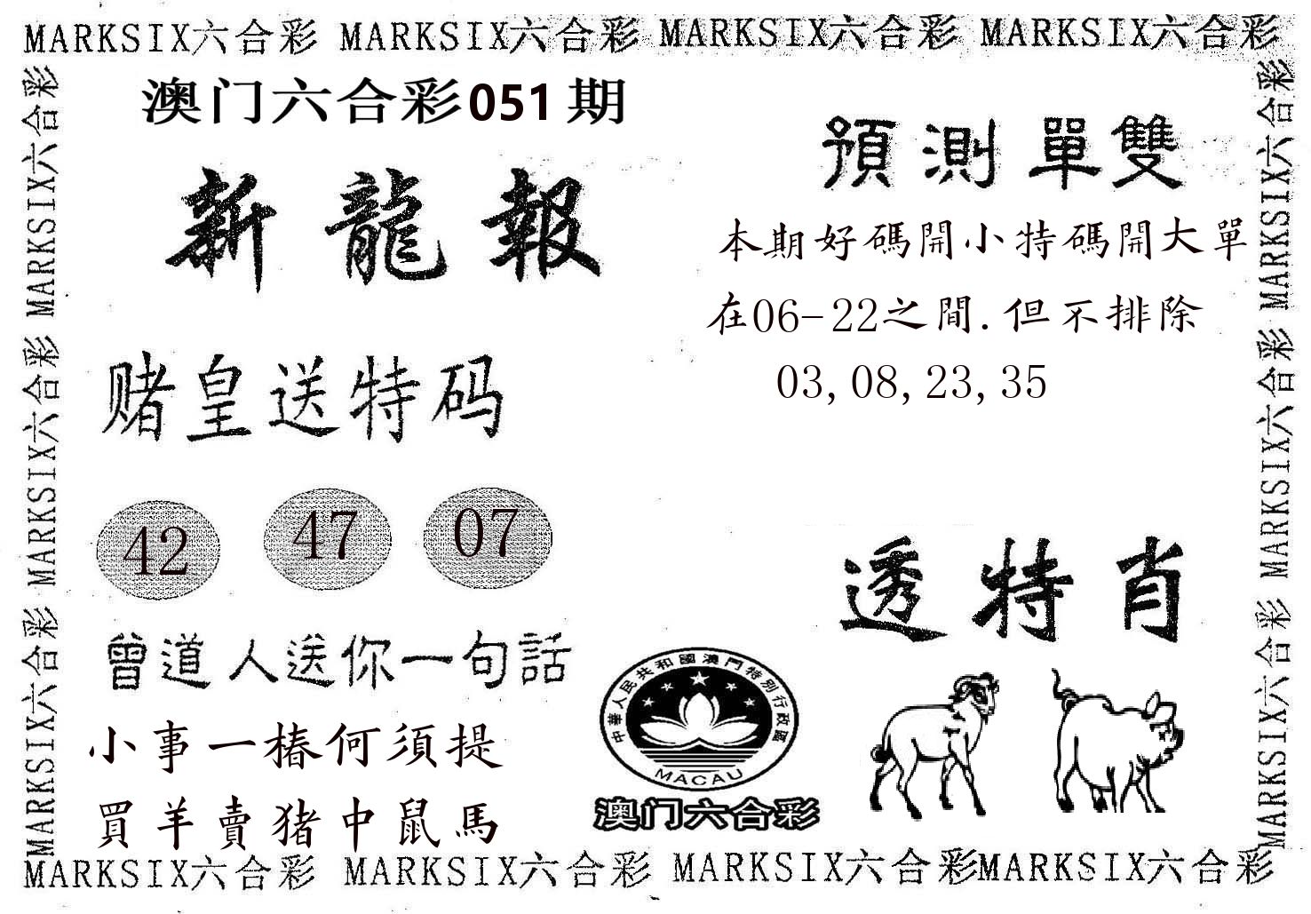 新龙报 第51期