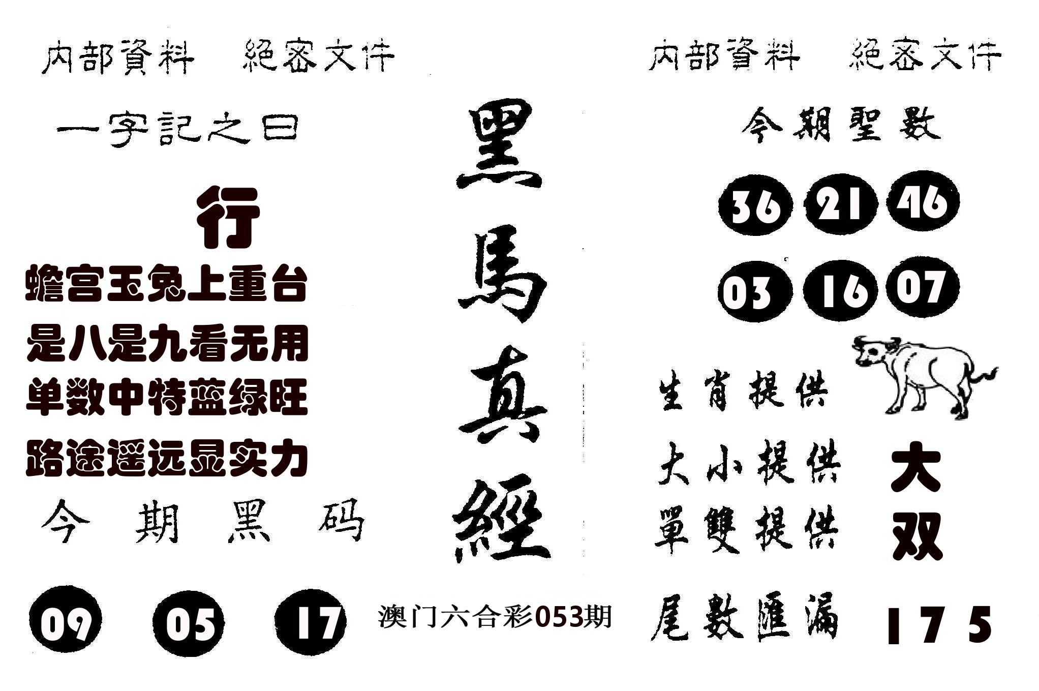 黑马真经 第53期