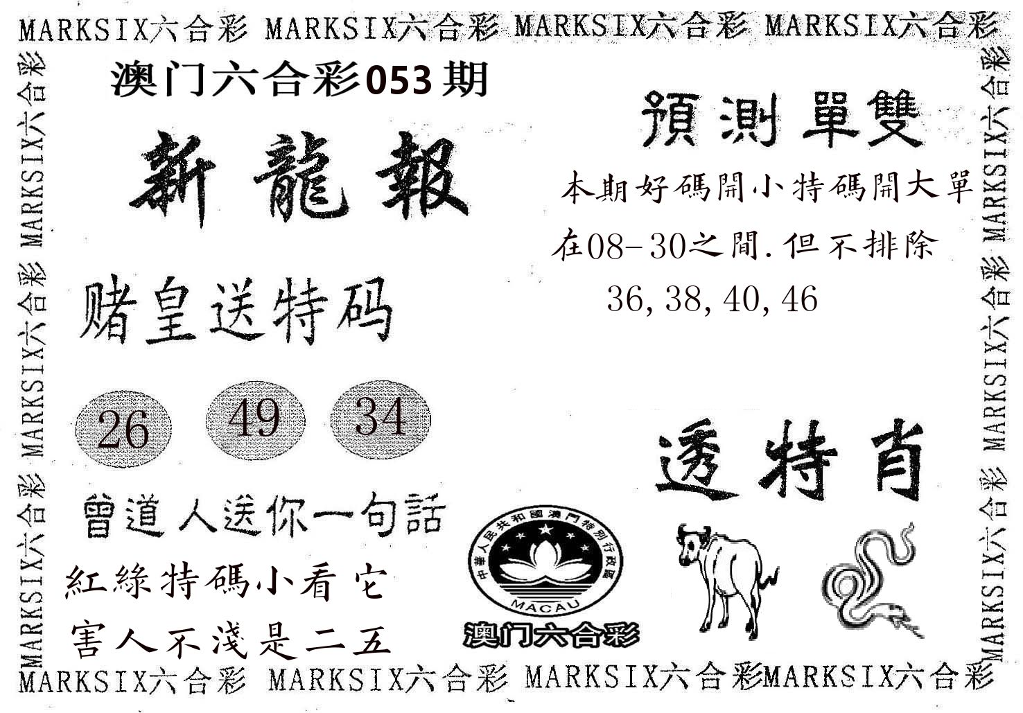 新龙报 第53期