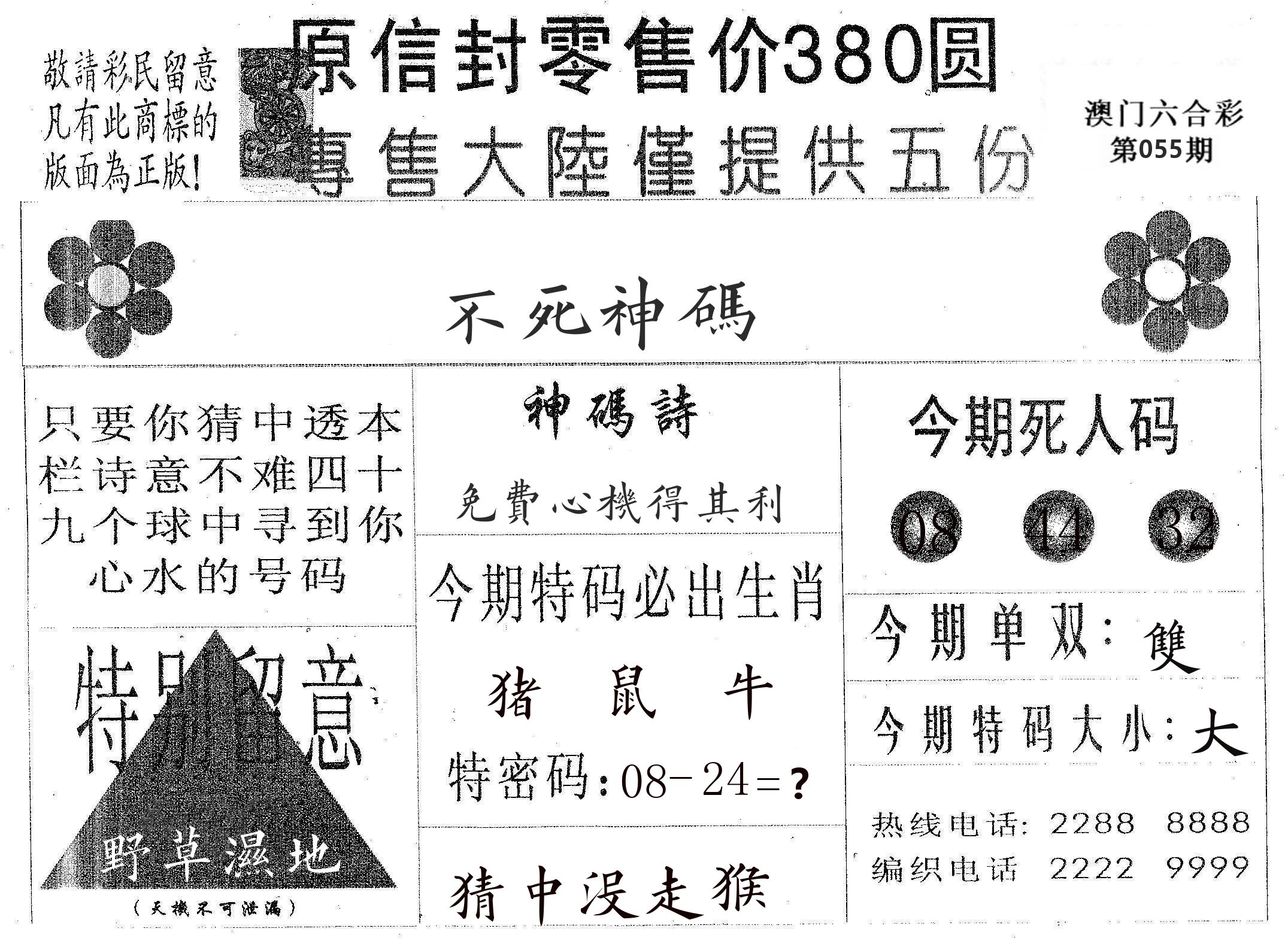 不死码A 第55期