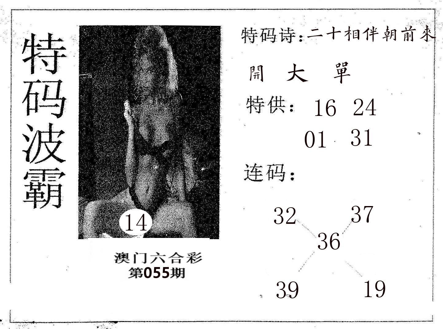 特码波霸 第55期