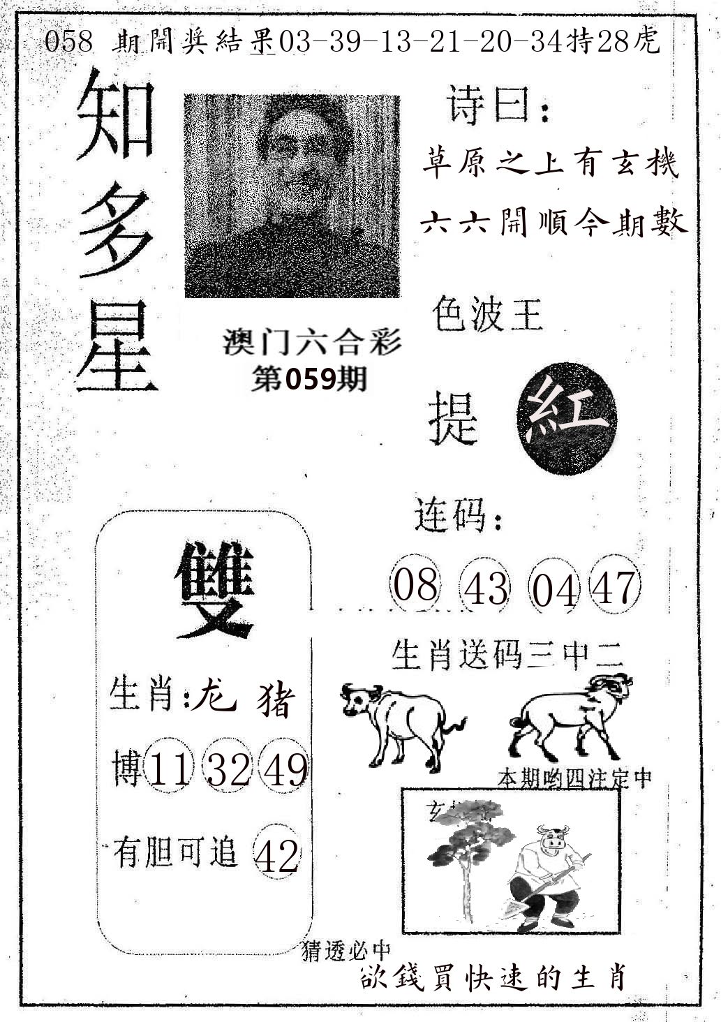 知多星 第59期