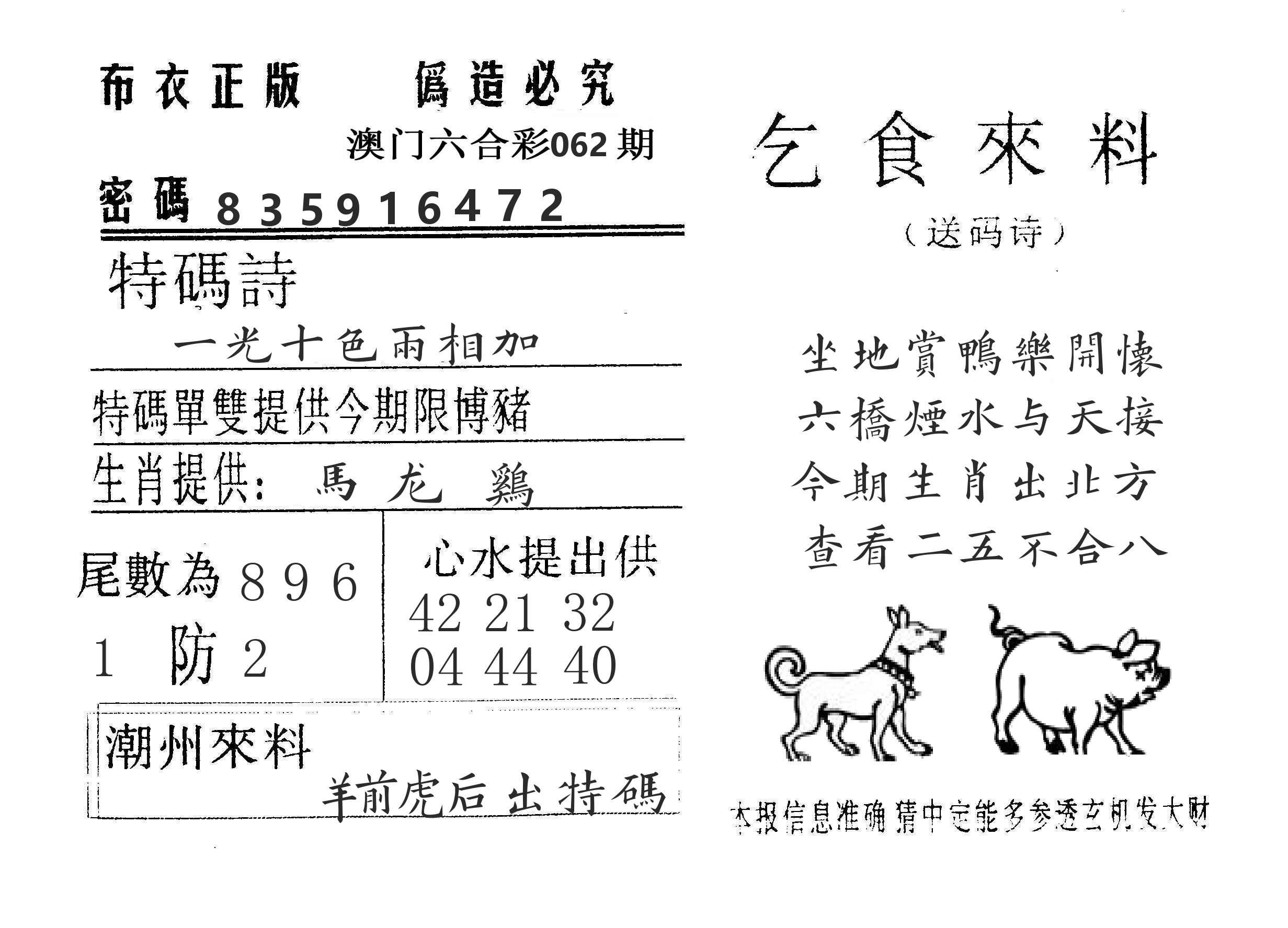乞食来料 第62期