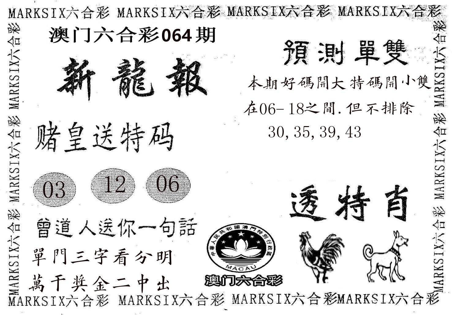 新龙报 第64期