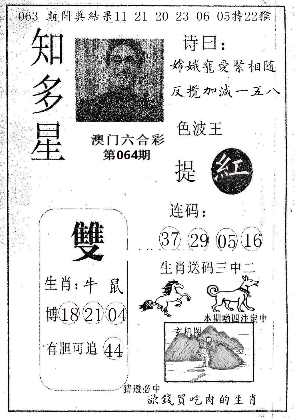 知多星 第64期
