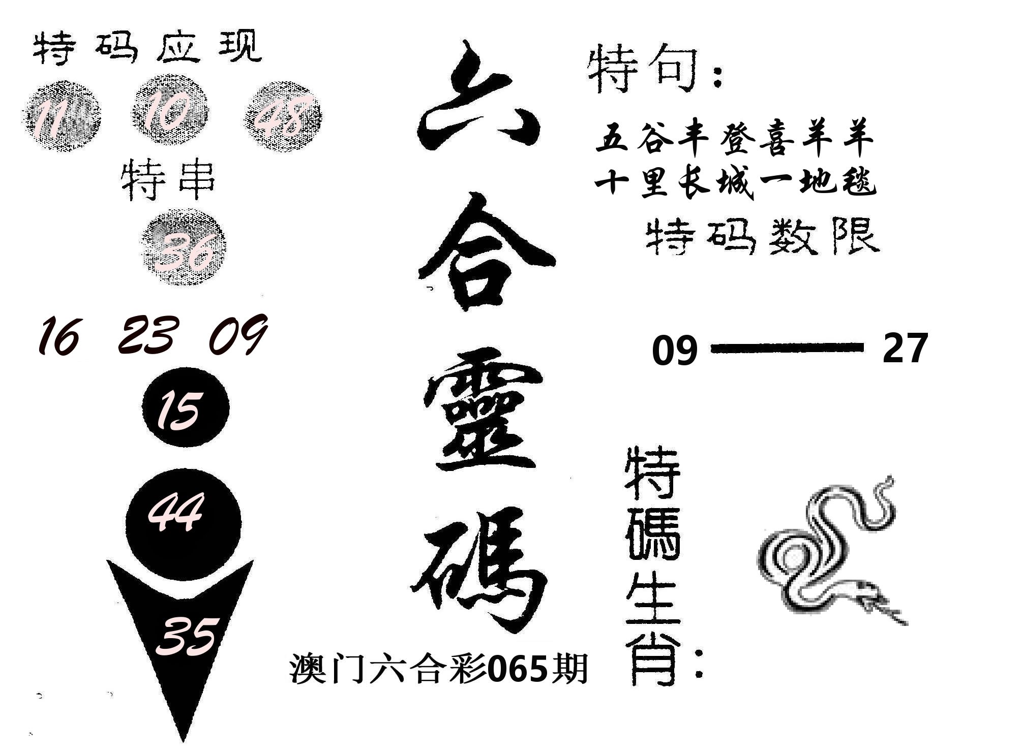 六合灵码 第65期